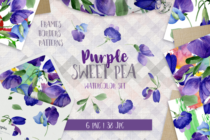 44个手绘紫色豌豆花卉水彩画素材 Purple Sweet Pea PNG Watercolor Flower Set_img_2