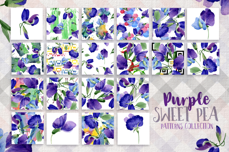 44个手绘紫色豌豆花卉水彩画素材 Purple Sweet Pea PNG Watercolor Flower Set_img_2