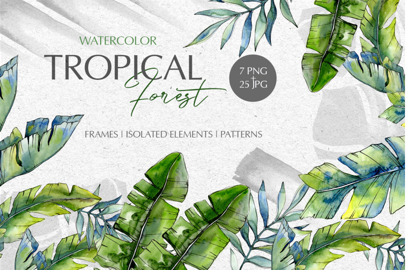 32个手绘热带森林水彩剪贴画水彩 Tropical Forest Watercolor PNG_img_2