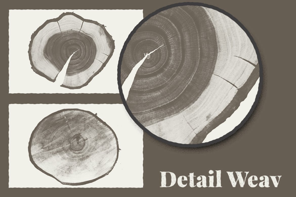10款木纹背景纹理矢量素材 Wood Texture Pack Background_img_2