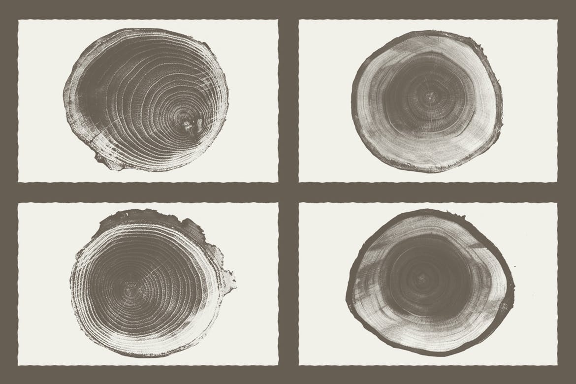 10款木纹背景纹理矢量素材 Wood Texture Pack Background_img_2