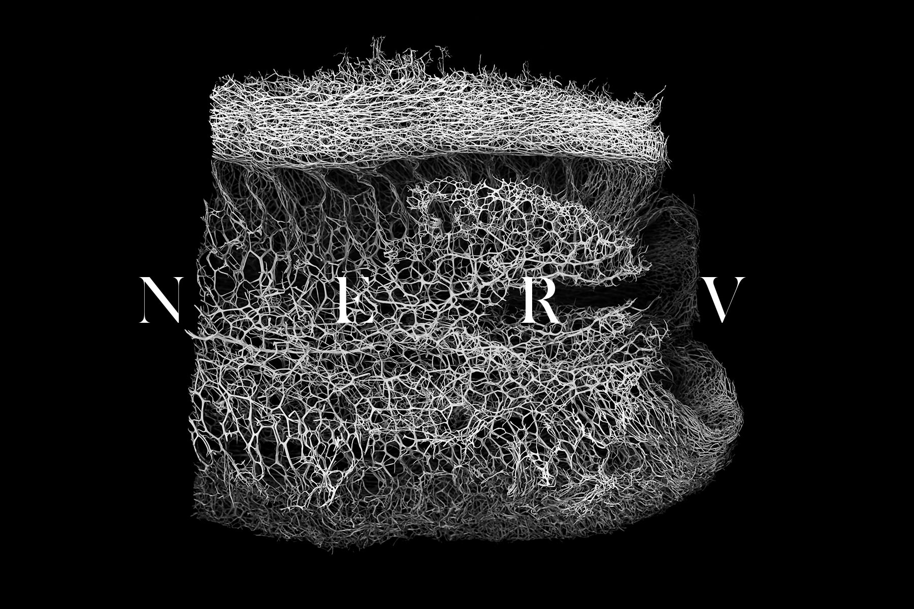 30款高清有机海绵纤维切片纹理背景底纹图片素材 30 NERV Textures vol.1_img_2