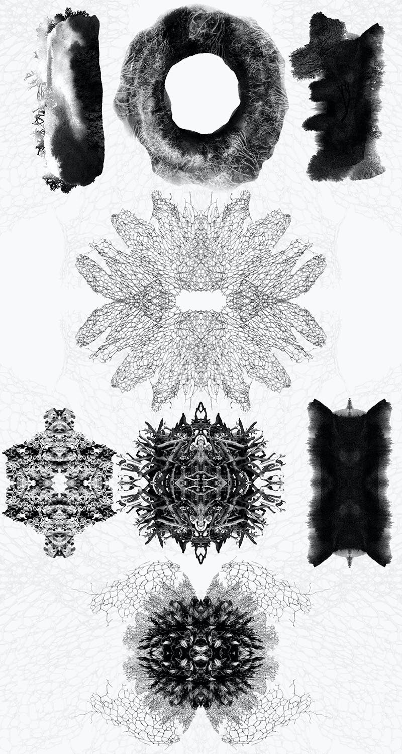 22款神秘抽象自然水墨装饰图案海报设计背景PNG素材 Ink And Nature Compositions_img_2