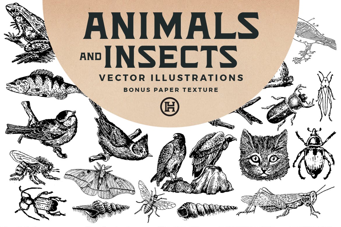 49个复古版画动物昆虫手绘矢量插图 Animals And Insects Vectors_img_2