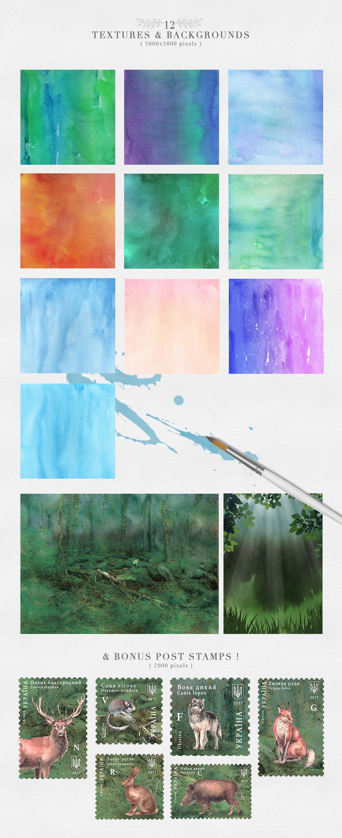 野生森林动物植物花圈水彩剪贴画素材 Wild Forest Watercolor Collection_img_2