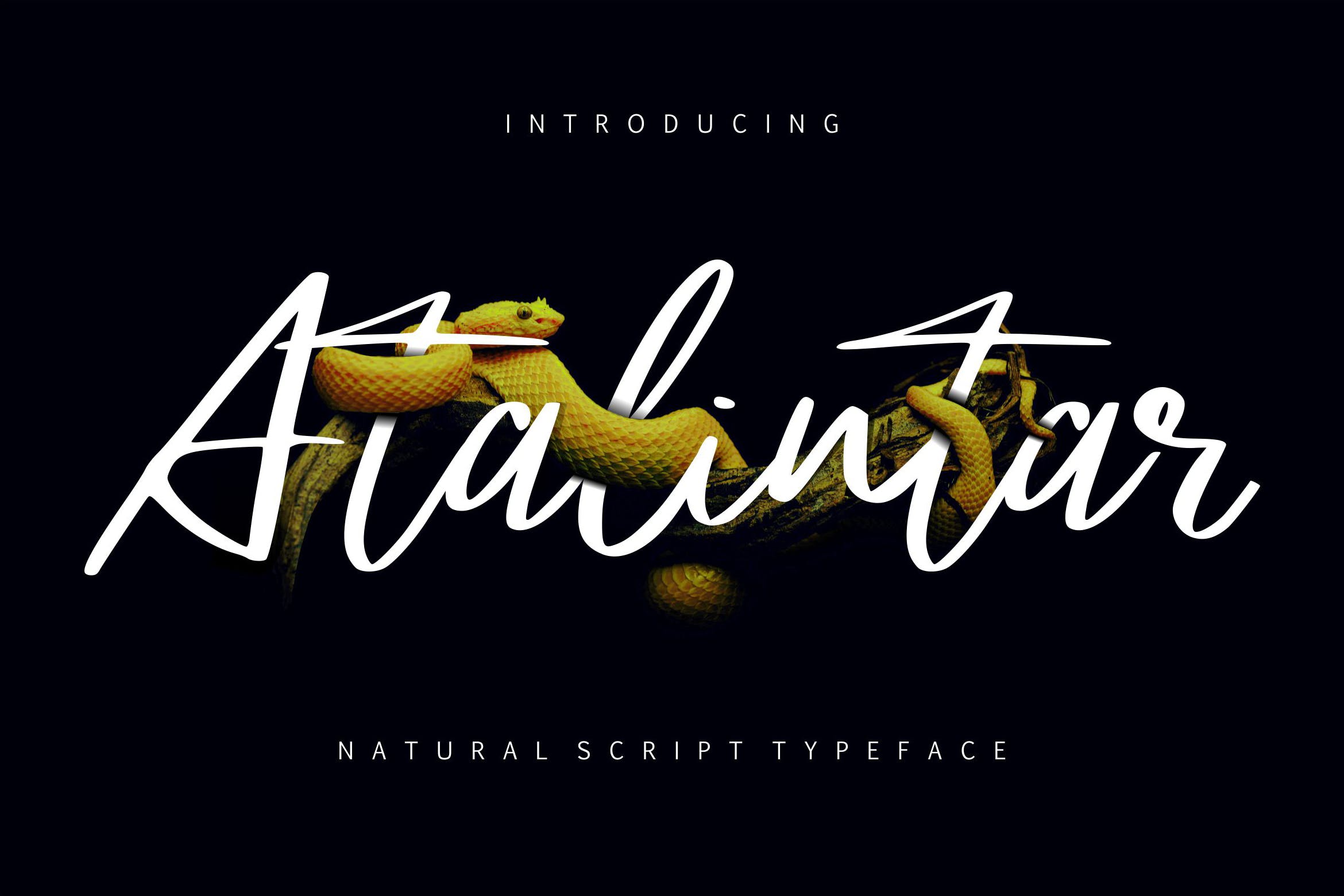 优美手写书法风签名英文字体 Atalintar | Natural Script Typeface_img_2