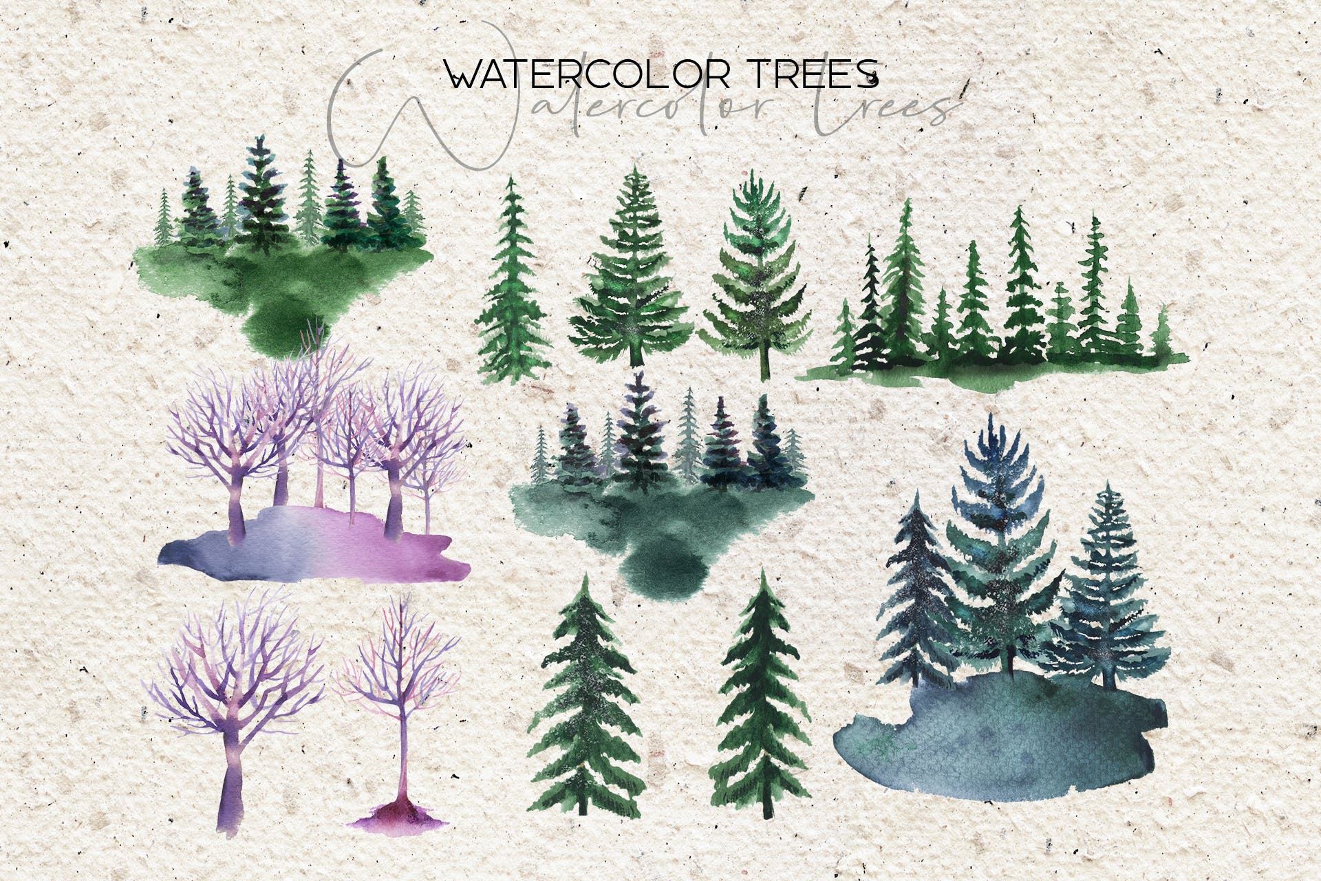 12幅水彩松树剪贴画集 Watercolor Pine Trees Set_img_2