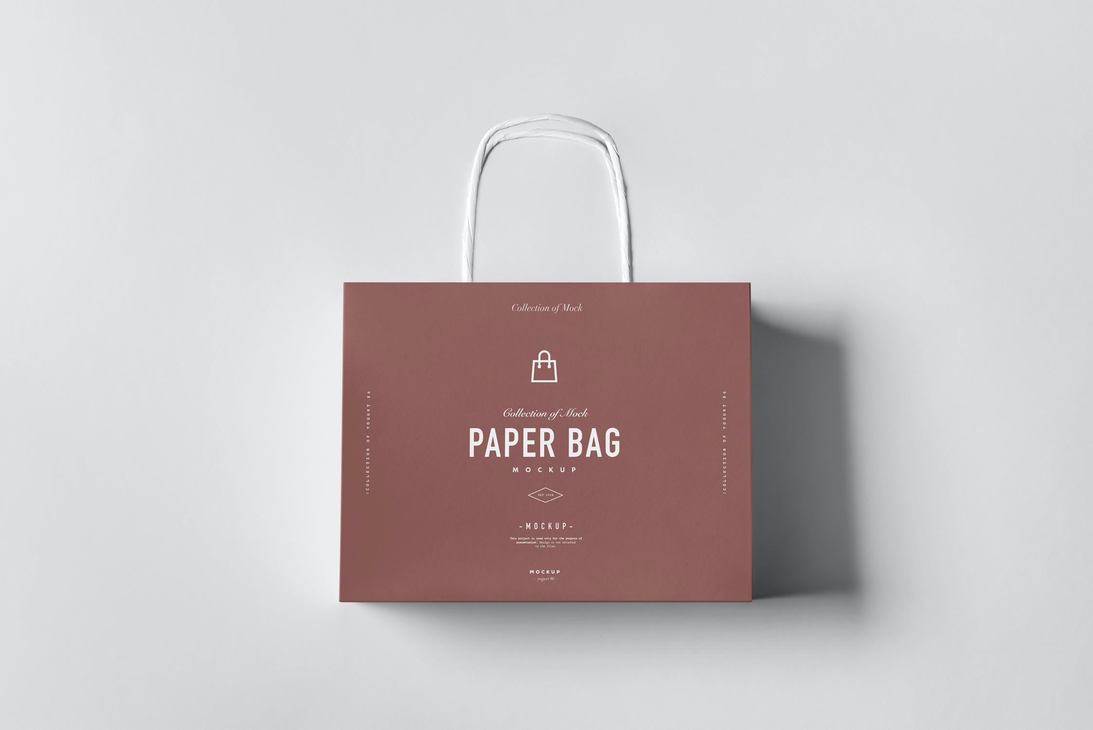 8款商城购物纸质手提袋样机模板 Paper Bag Mockup_img_2