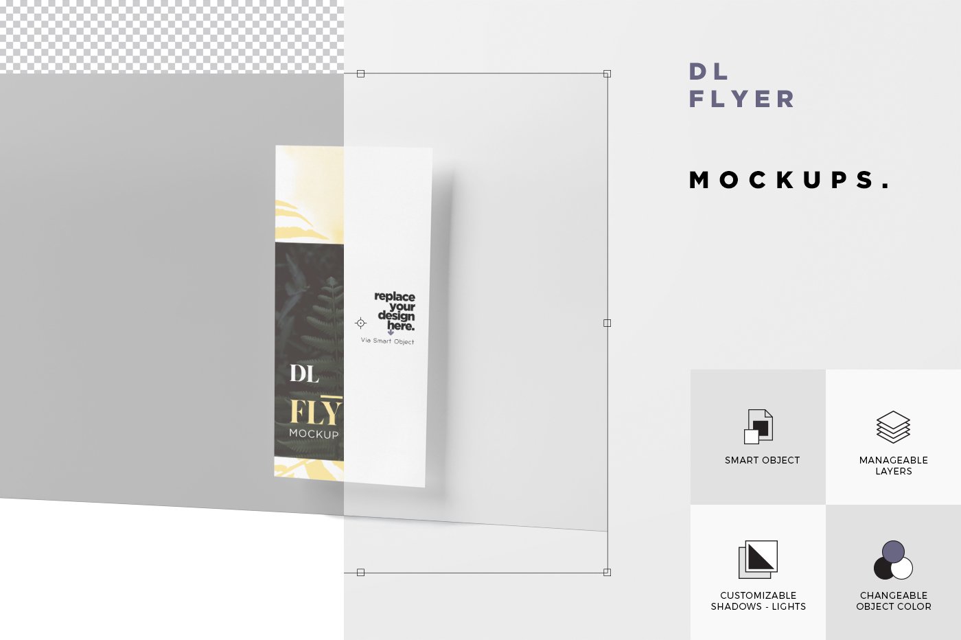 竖版宣传单页卡片样机模板 DL Size Vertical Flyer Mockups_img_2