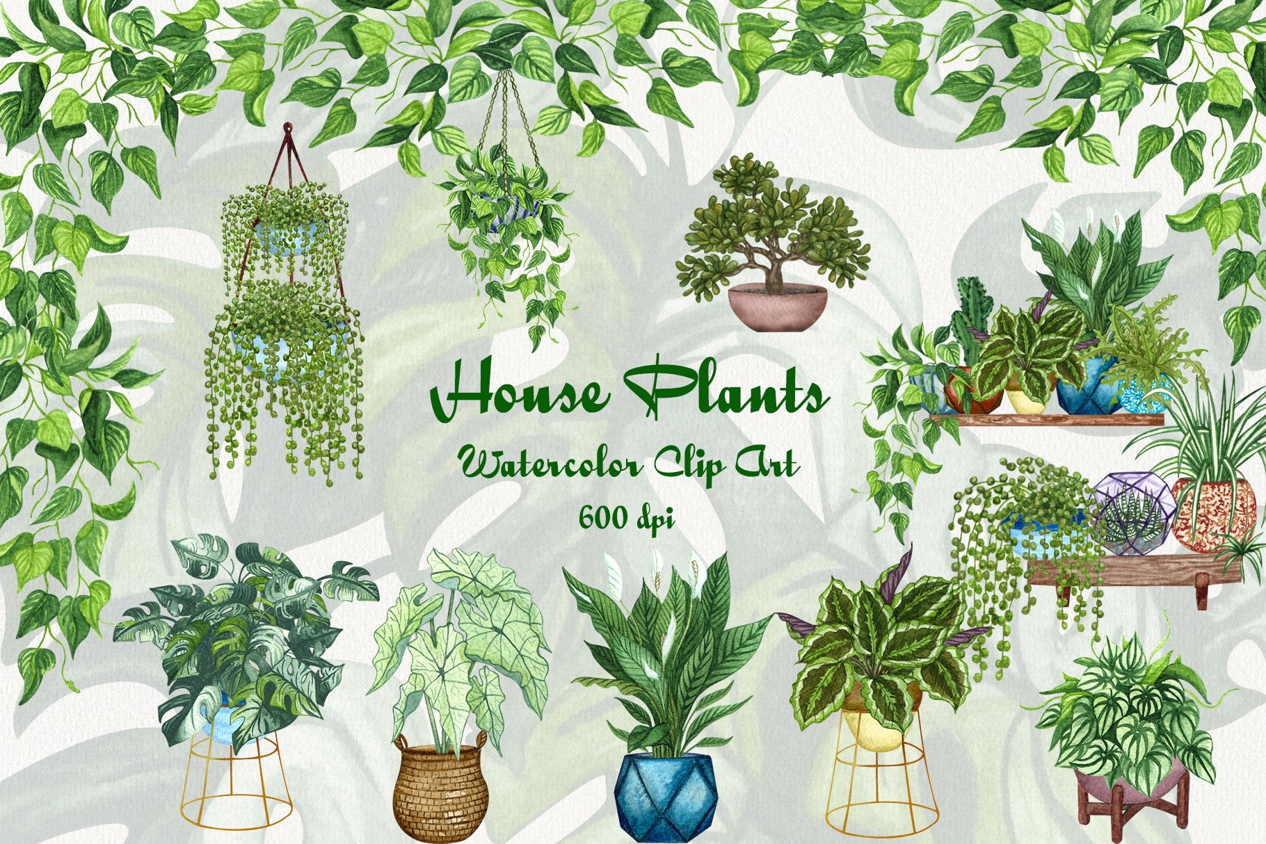 室内盆栽植物无缝隙水彩插画图案 House Plants Watercolor Clip Art_img_2