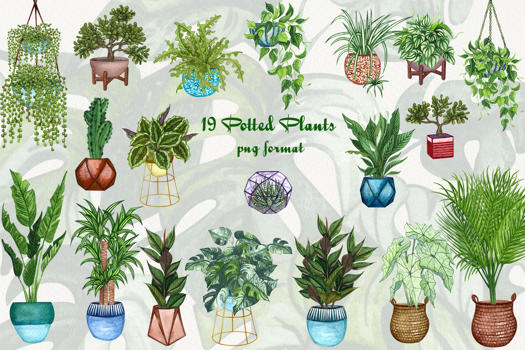 室内盆栽植物无缝隙水彩插画图案 House Plants Watercolor Clip Art_img_2