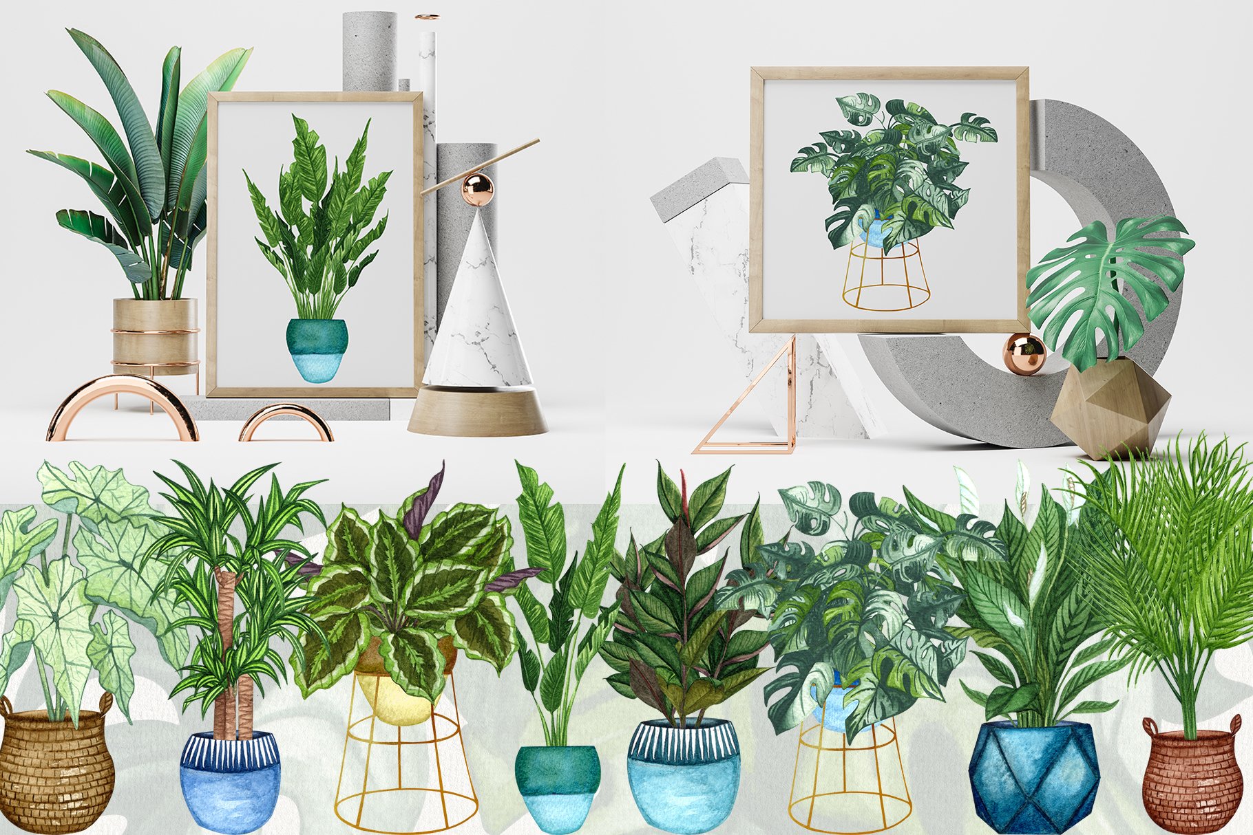 室内盆栽植物无缝隙水彩插画图案 House Plants Watercolor Clip Art_img_2