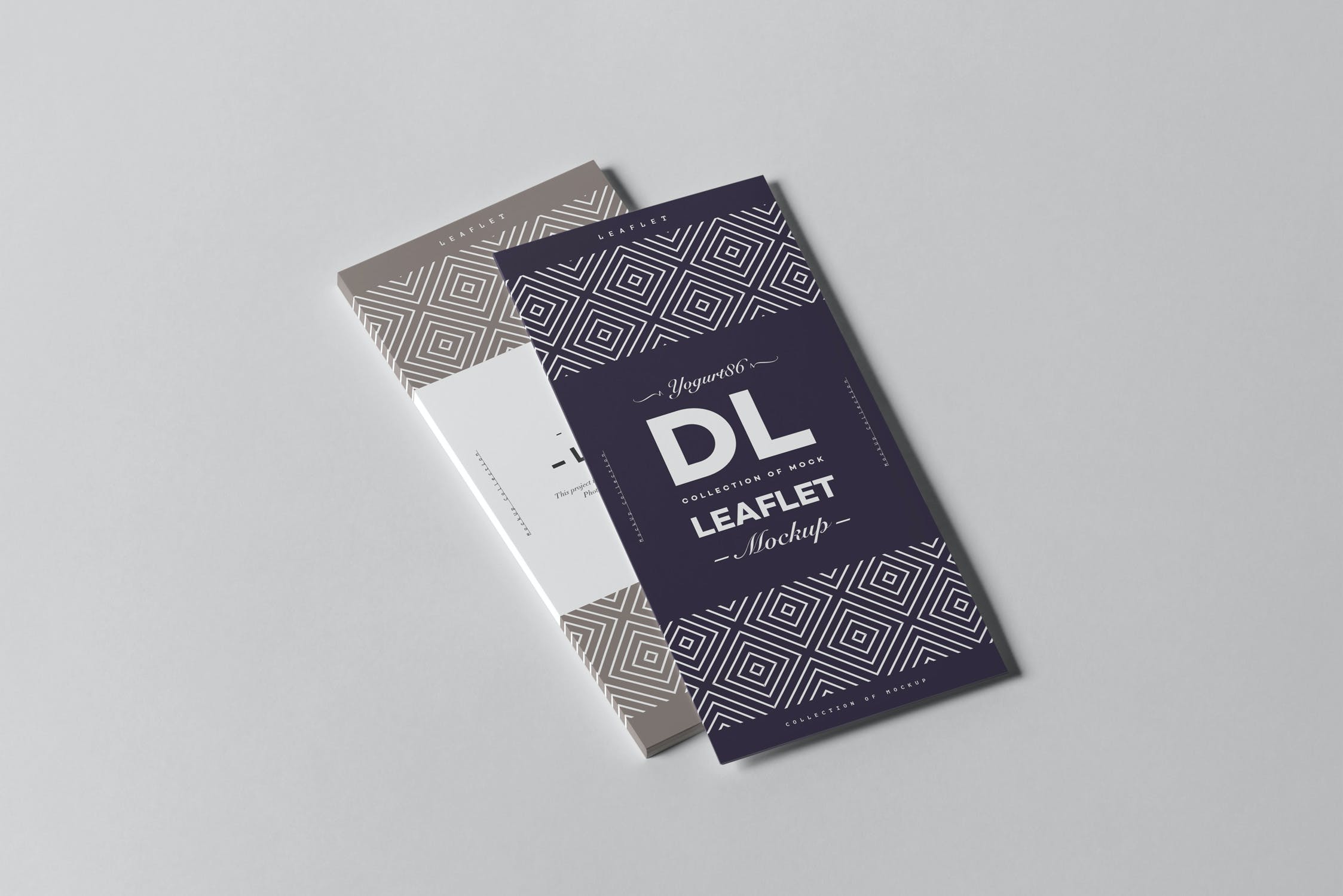 8款竖版传单海报设计样机模板 Leaflet DL Mockup_img_2