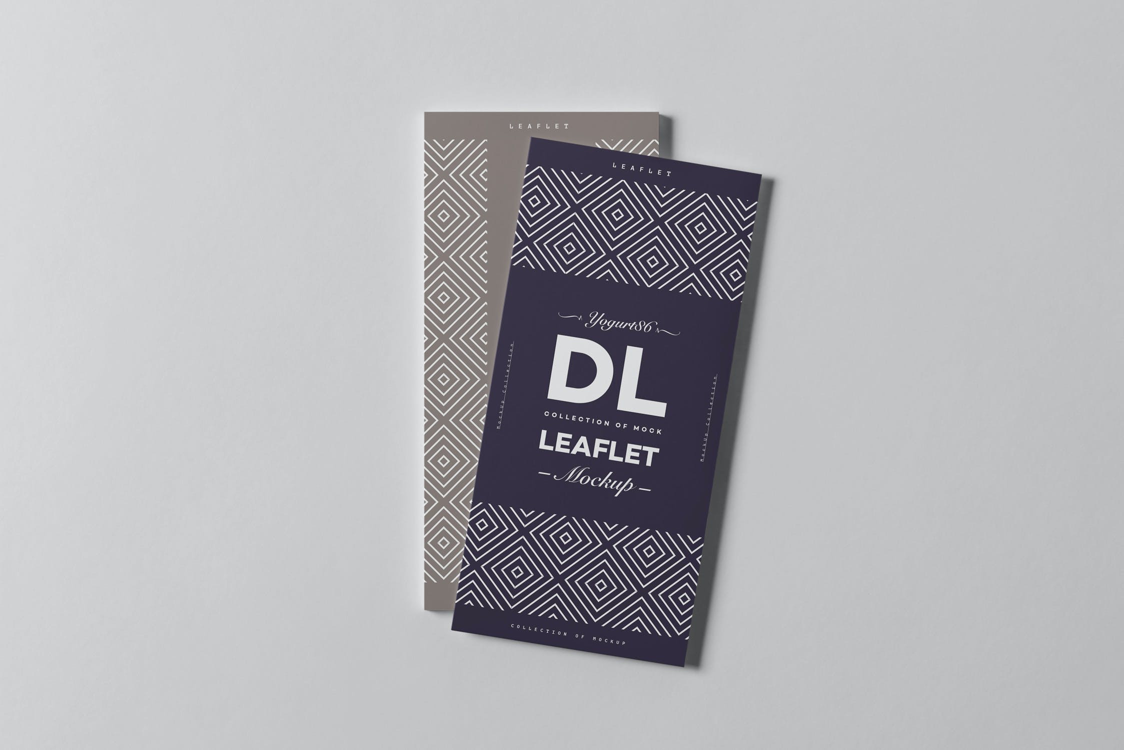 8款竖版传单海报设计样机模板 Leaflet DL Mockup_img_2