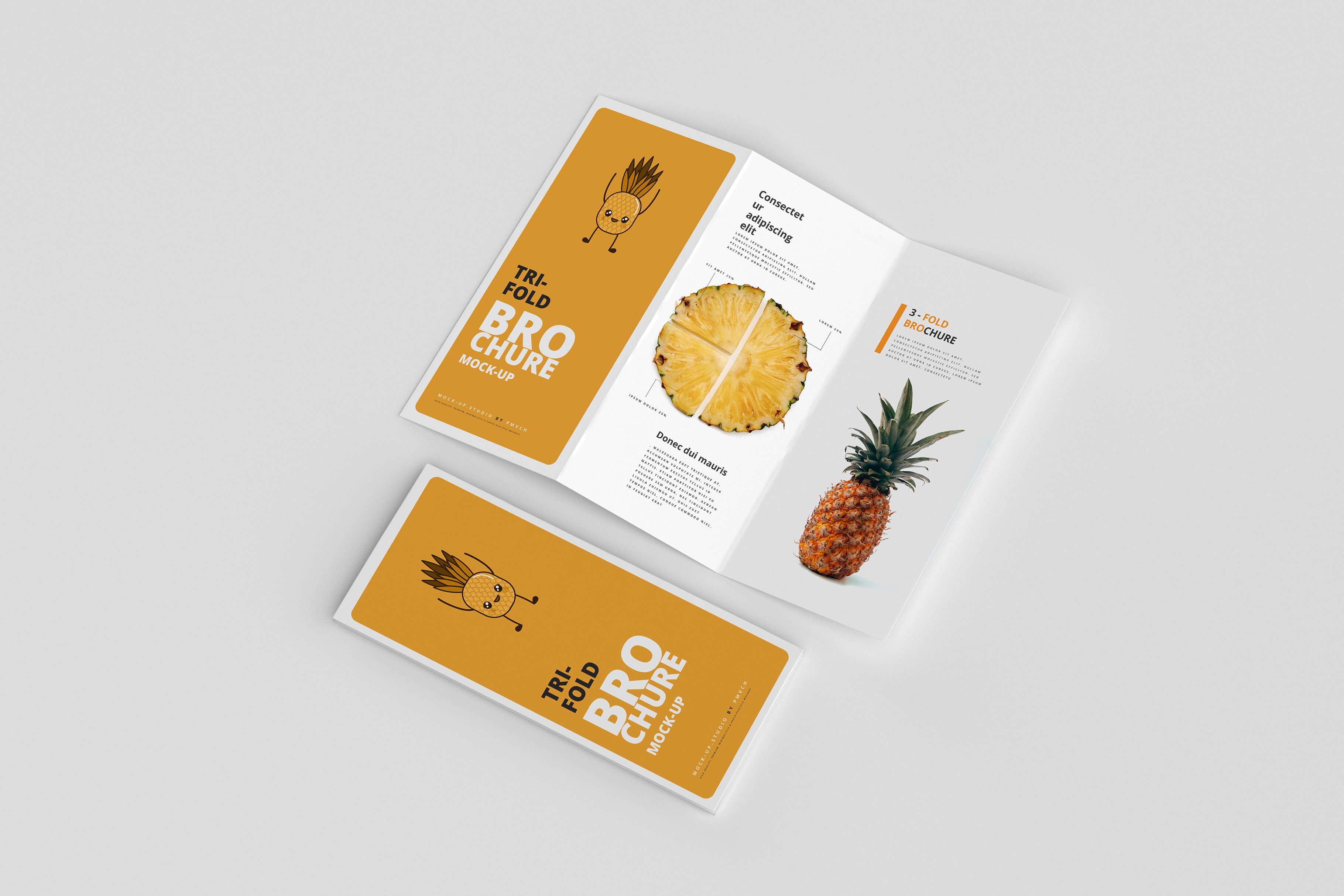 165款折页画册杂志设计样机模板 165 Brochure Mockups Big Bundle_img_2