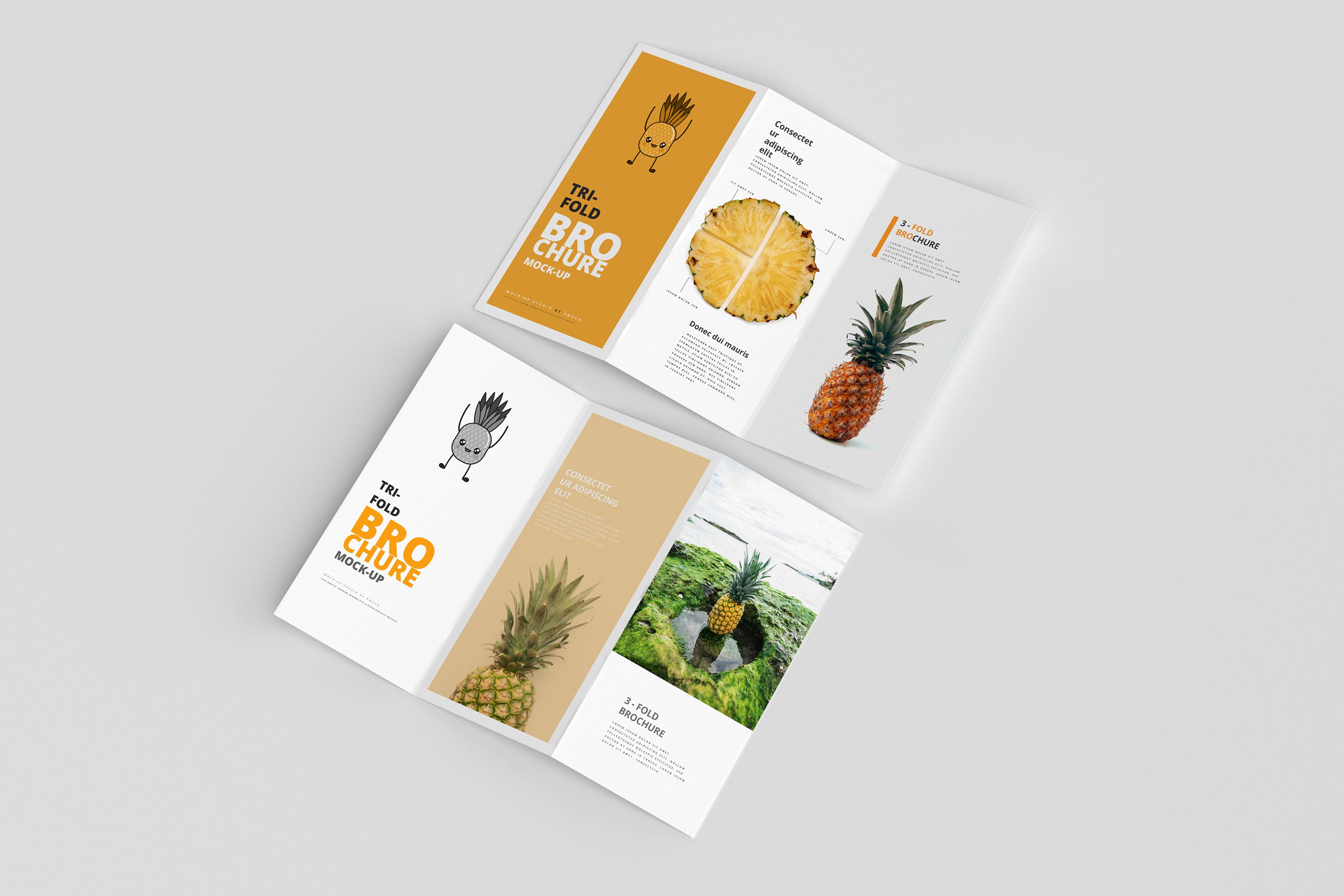 165款折页画册杂志设计样机模板 165 Brochure Mockups Big Bundle_img_2