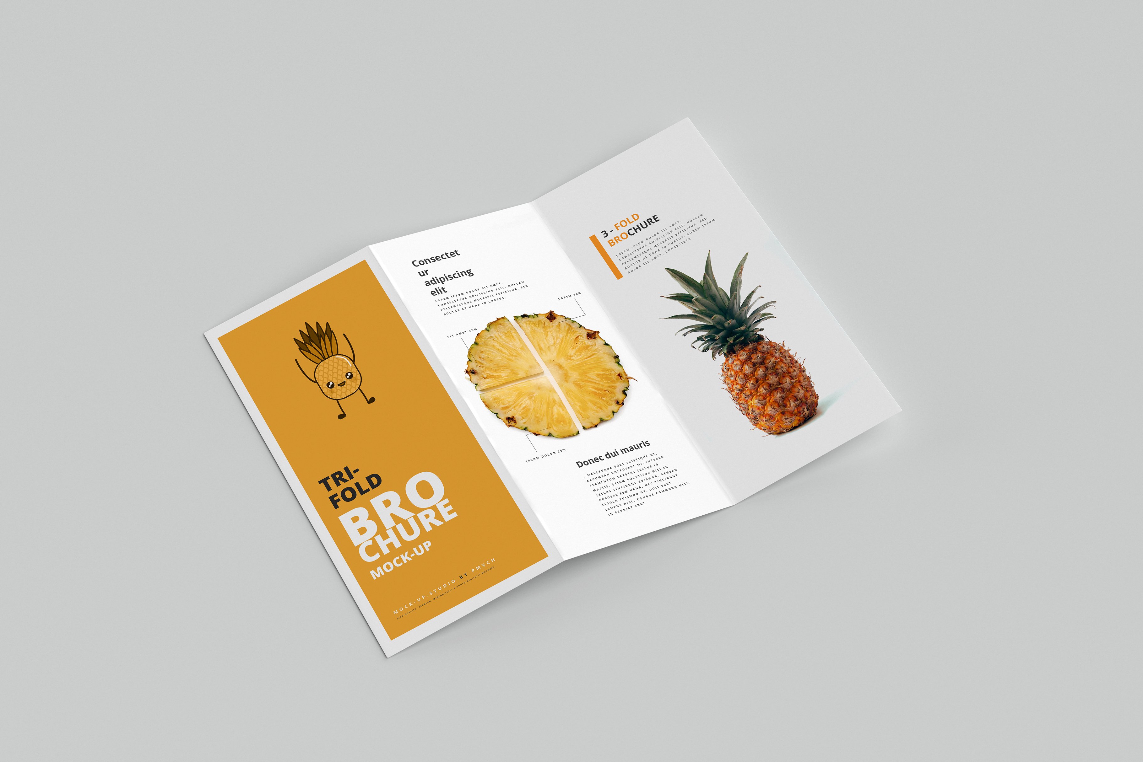 165款折页画册杂志设计样机模板 165 Brochure Mockups Big Bundle_img_2