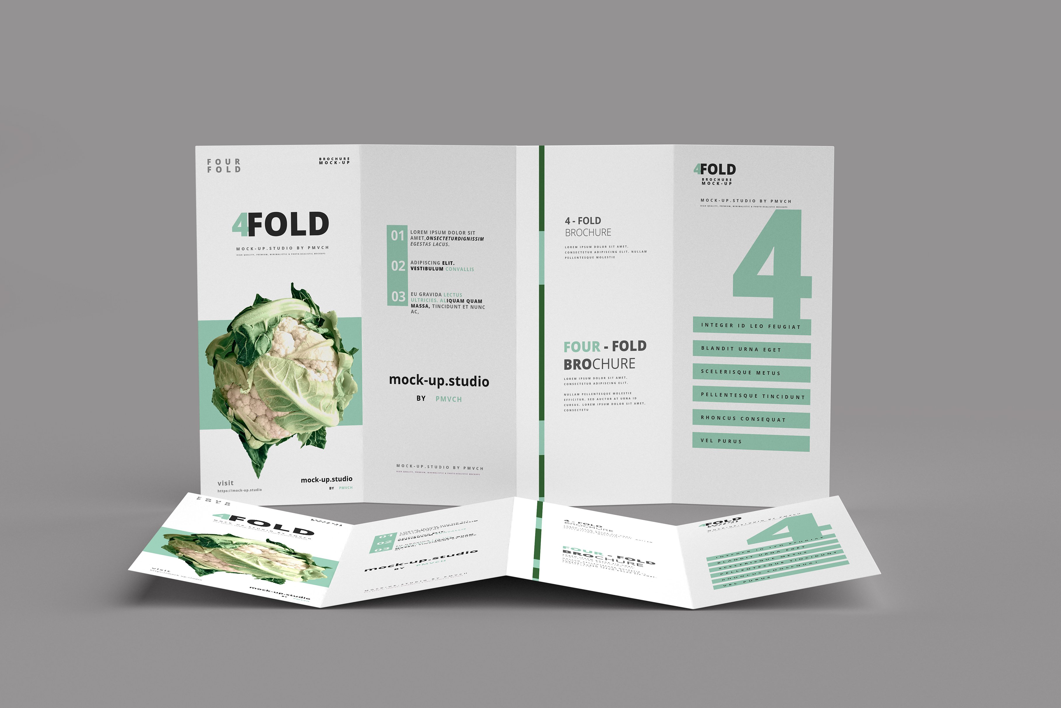 165款折页画册杂志设计样机模板 165 Brochure Mockups Big Bundle_img_2