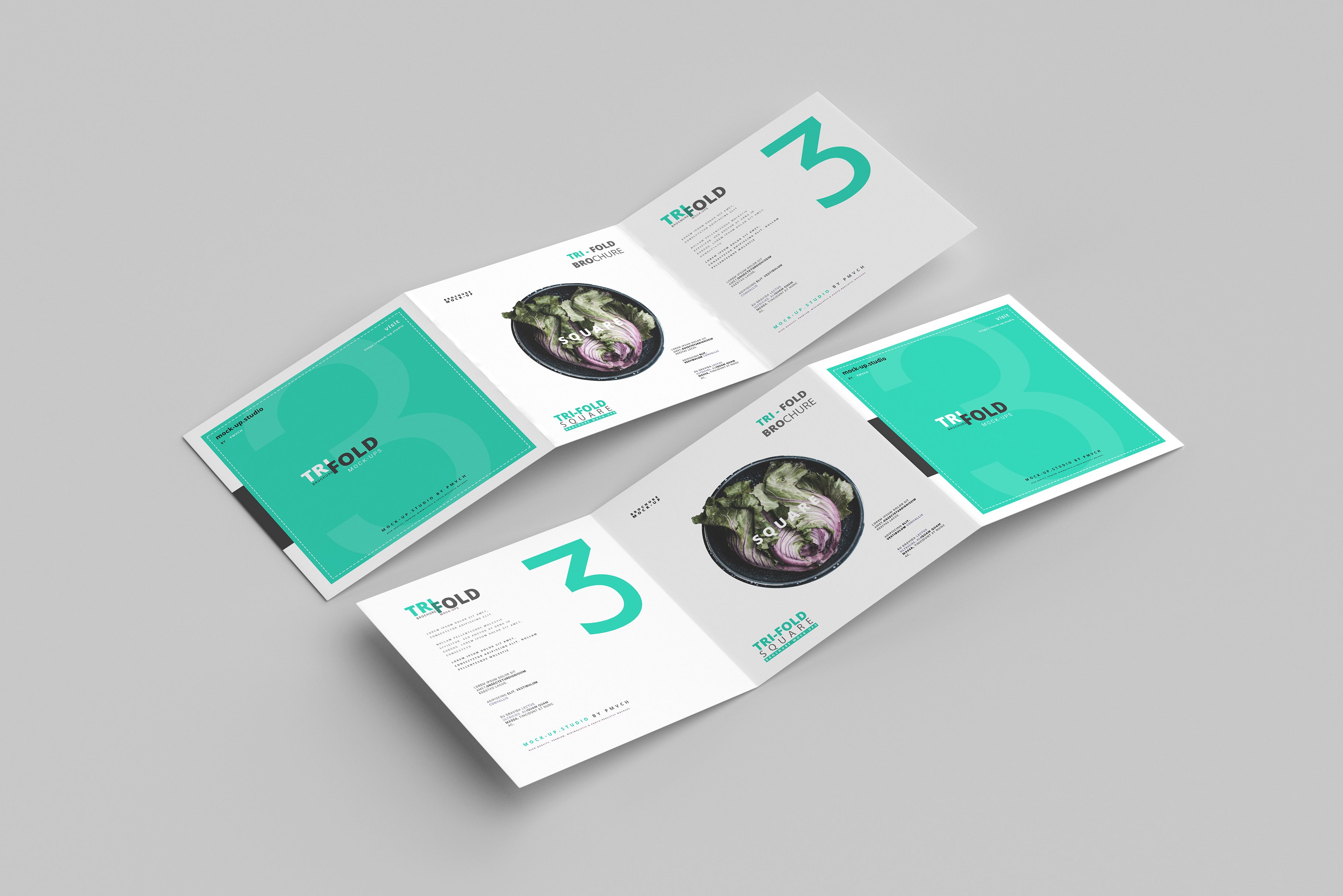 165款折页画册杂志设计样机模板 165 Brochure Mockups Big Bundle_img_2