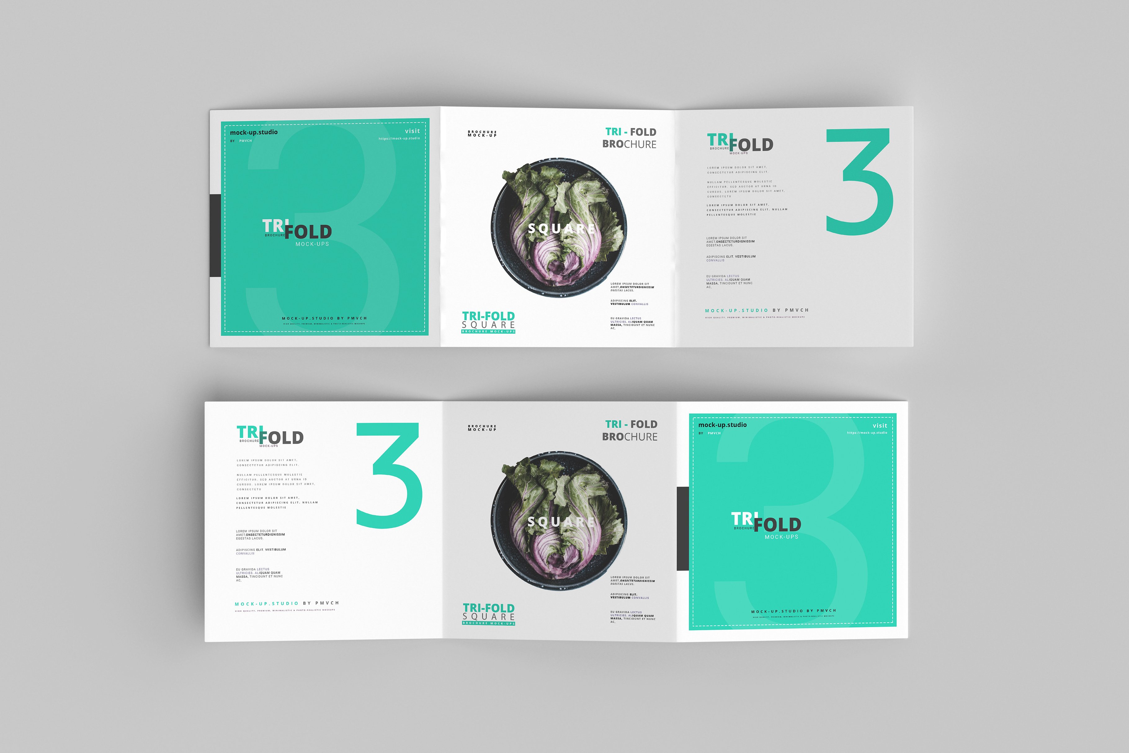 165款折页画册杂志设计样机模板 165 Brochure Mockups Big Bundle_img_2