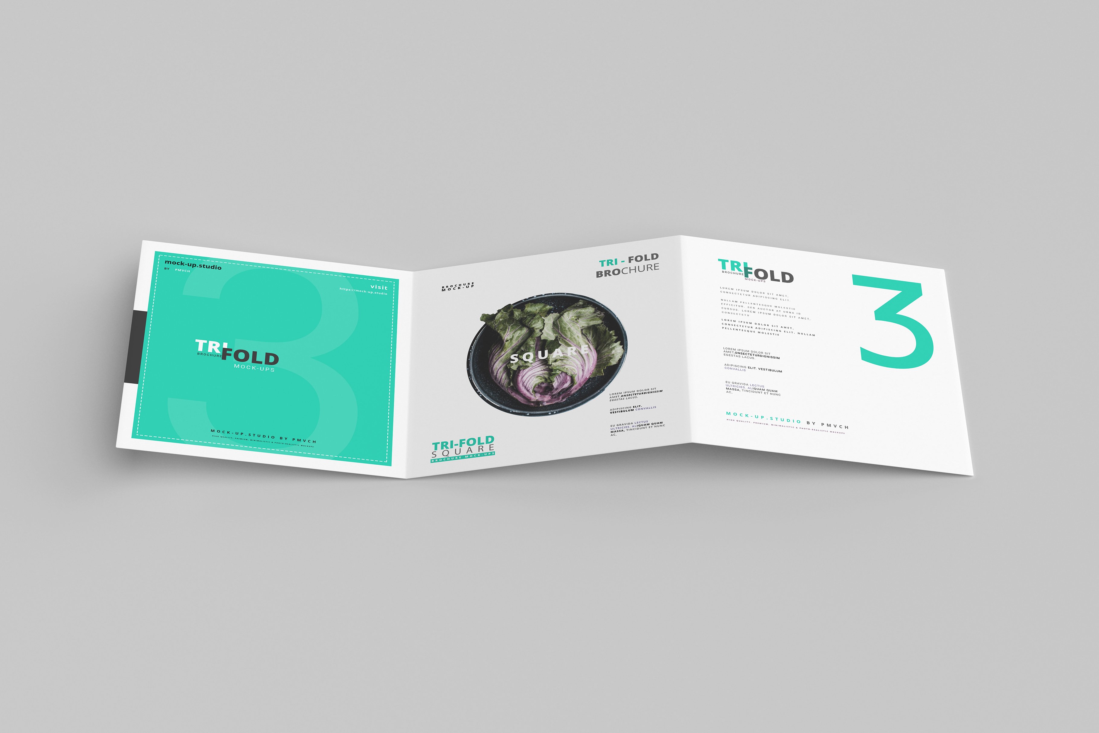 165款折页画册杂志设计样机模板 165 Brochure Mockups Big Bundle_img_2