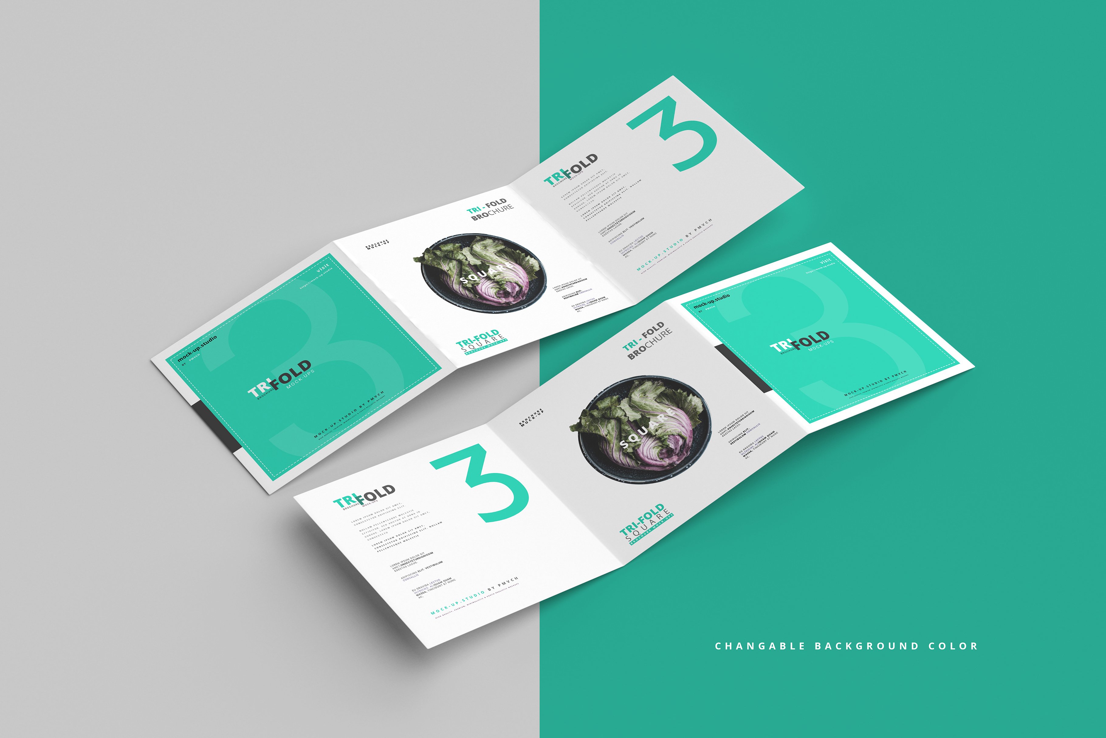 165款折页画册杂志设计样机模板 165 Brochure Mockups Big Bundle_img_2