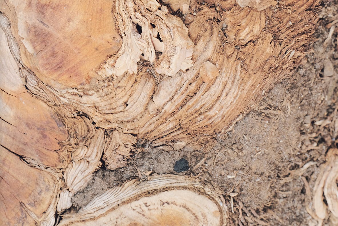 20个木质木纹背景纹理素材 Wood Grain Texture Pack_img_2
