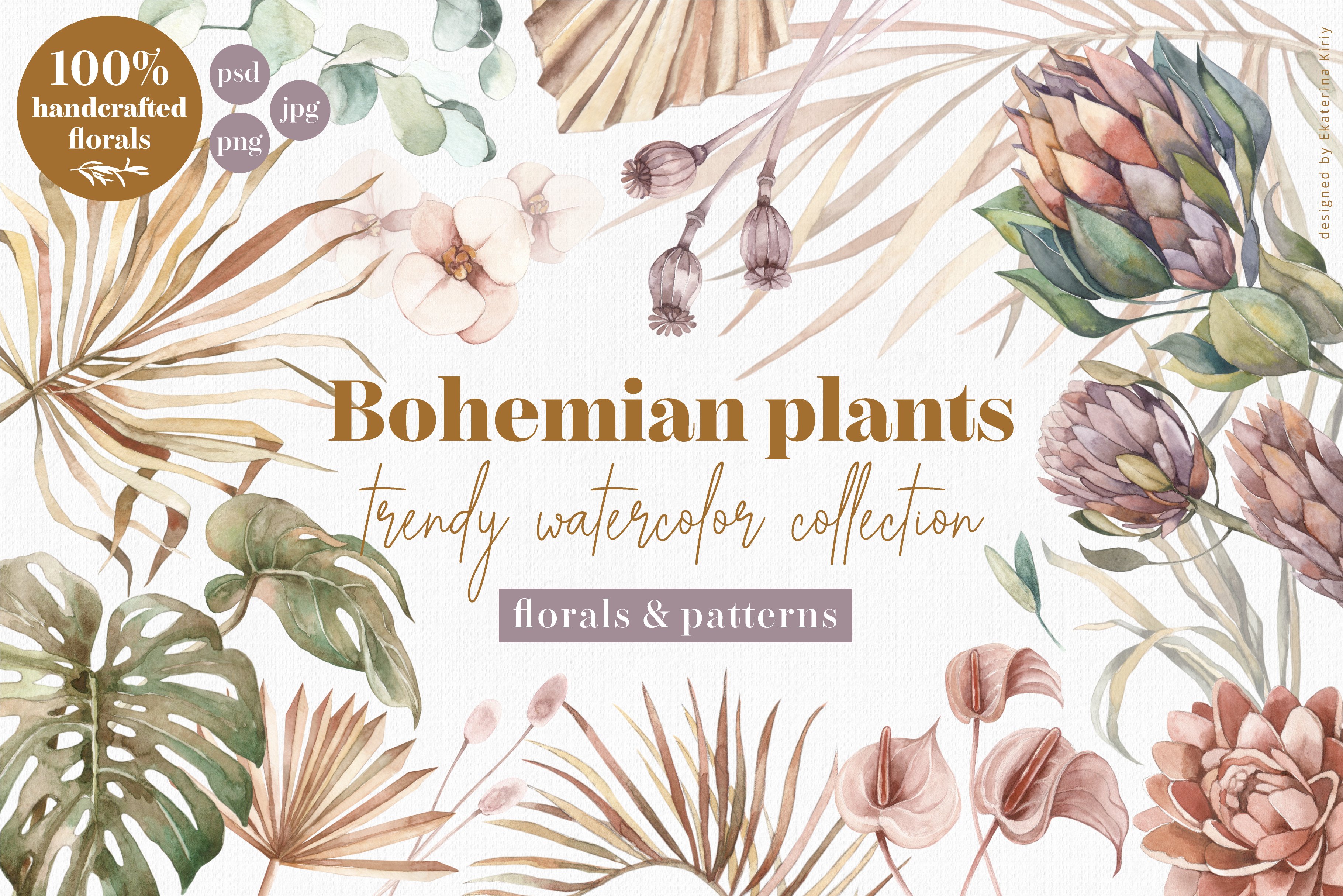 波西米亚风手绘植物水彩剪贴画纹理素材 Bohemian Plants - Trendy Watercolors_img_2