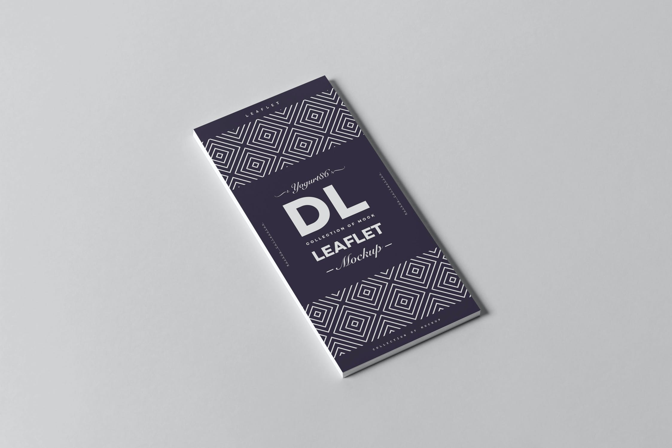 8款海报宣传单设计样机模板 Leaflet DL Mockup_img_2