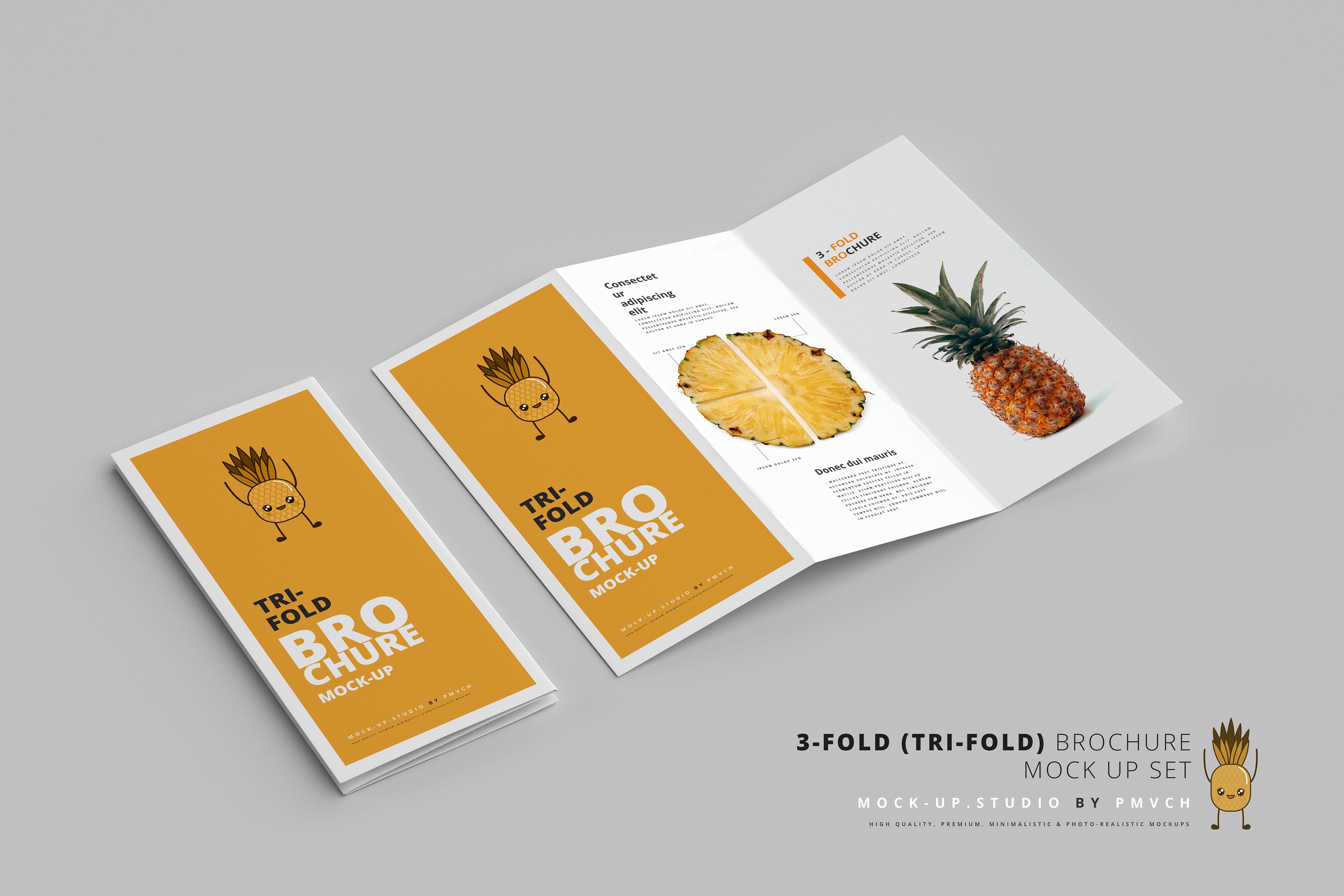 逼真三折页小册子设计样机模板 3-Fold (Tri-Fold) Brochure Mockups_img_2