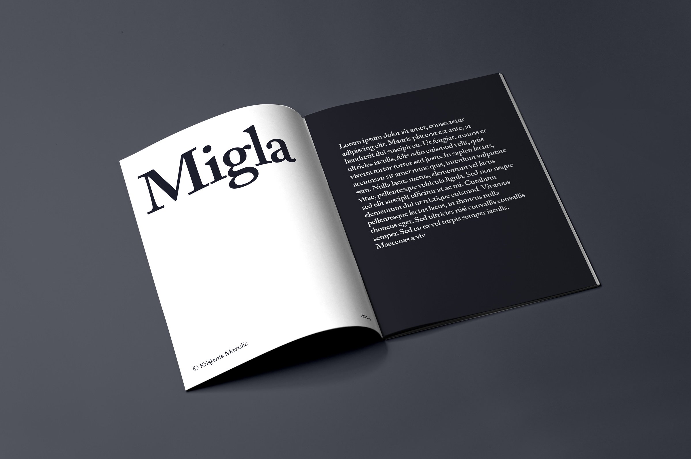 8款宣传画册杂志样机模板 Migla Print Magazine Mockup_img_2