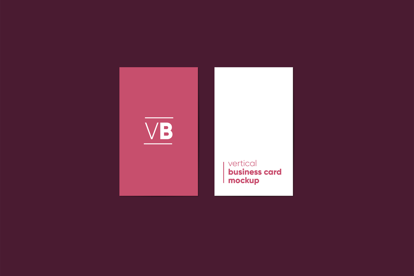 极简商务名片样机模板 Vertical Business Card Mockup_img_2