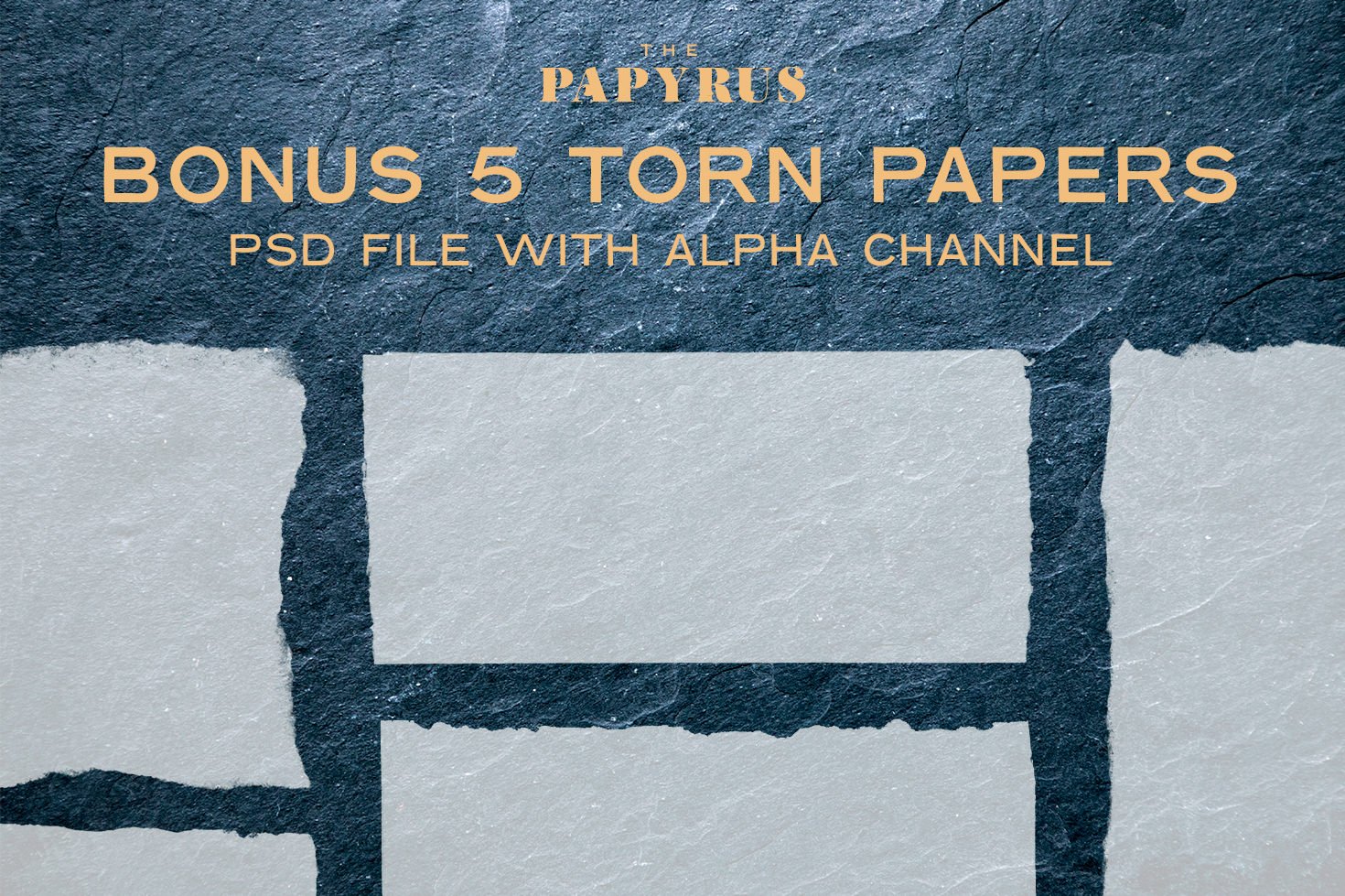 65款复古绘画莎草纸张纹理素材 The Papyrus - 65 Paper Textures_img_2