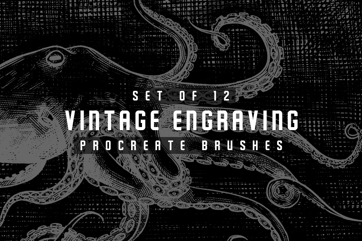 12款复古雕刻Procreate笔刷 Vintage Engraving Procreate Brushes_img_2