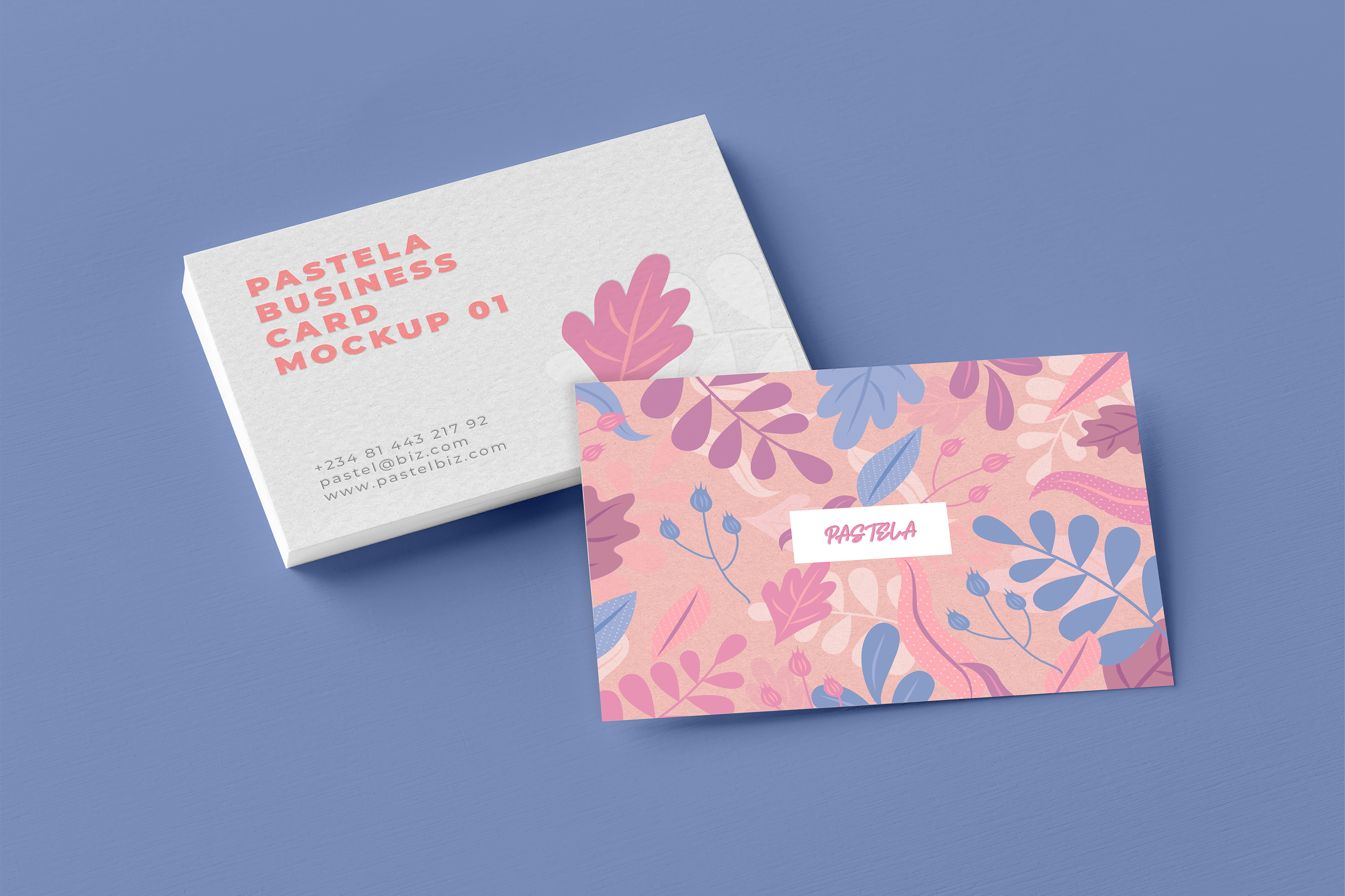 16款商务名片设计样机模板合集16 Business Card Mockup Collection V1_img_2