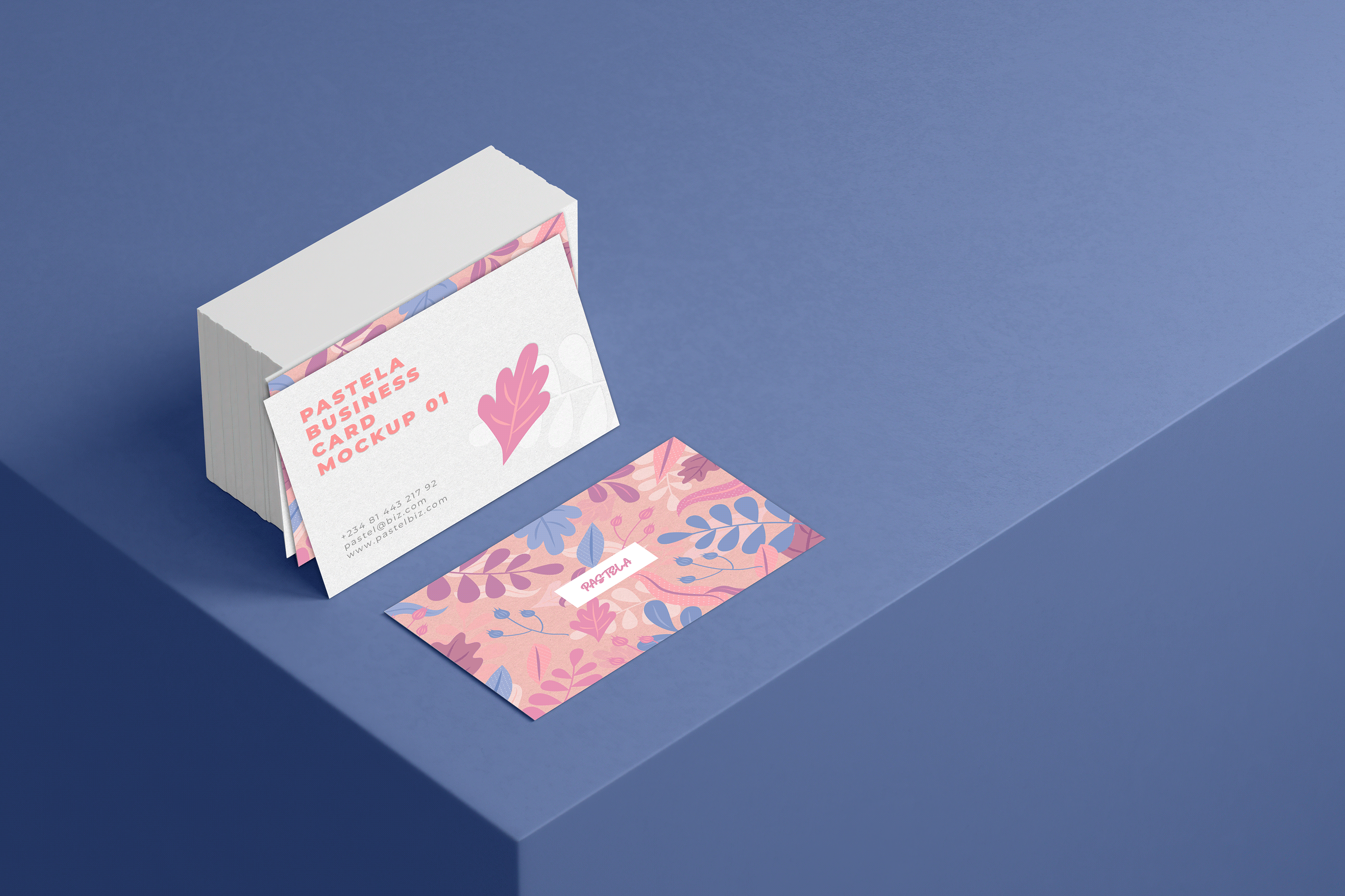 16款商务名片设计样机模板合集16 Business Card Mockup Collection V1_img_2