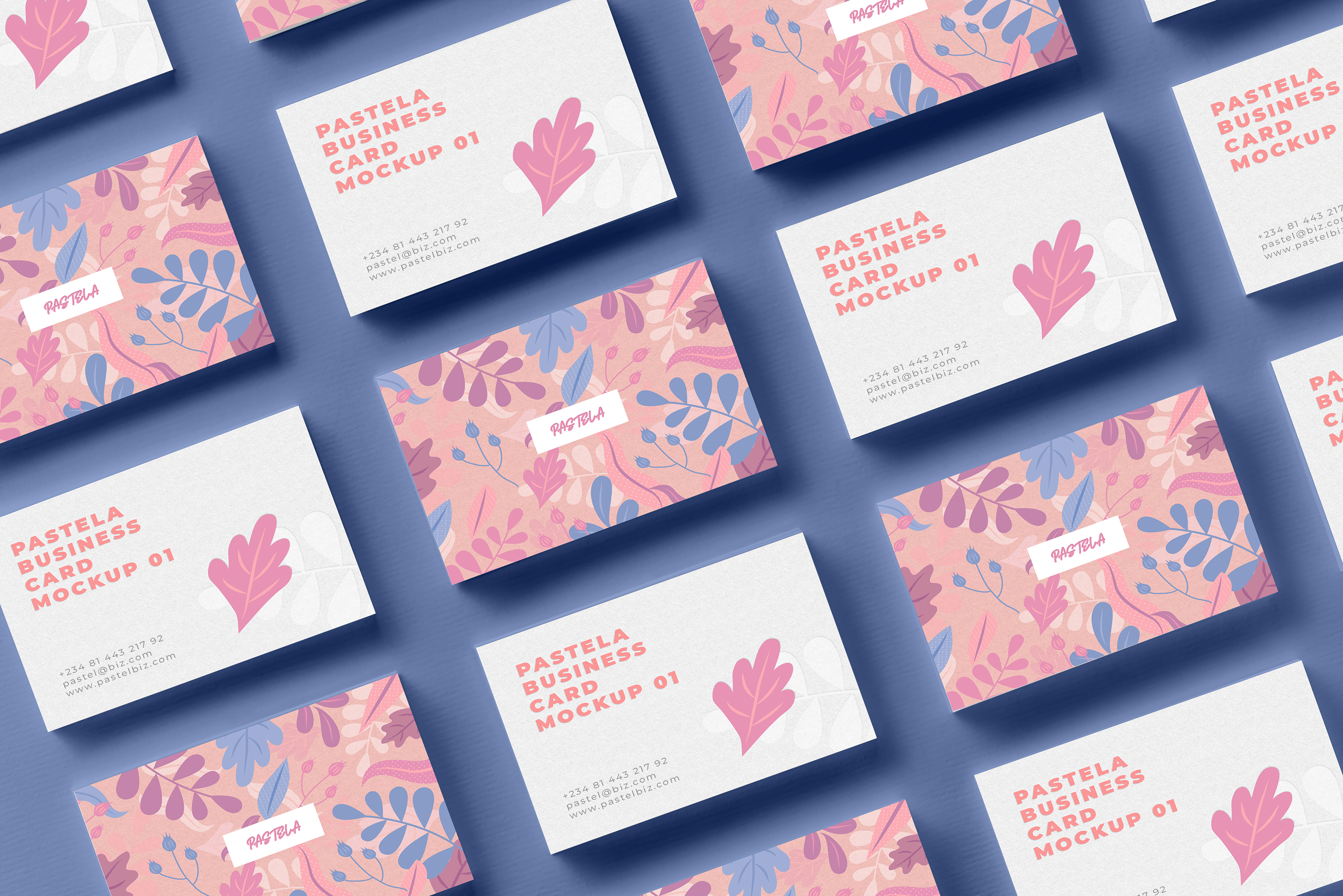 16款商务名片设计样机模板合集16 Business Card Mockup Collection V1_img_2