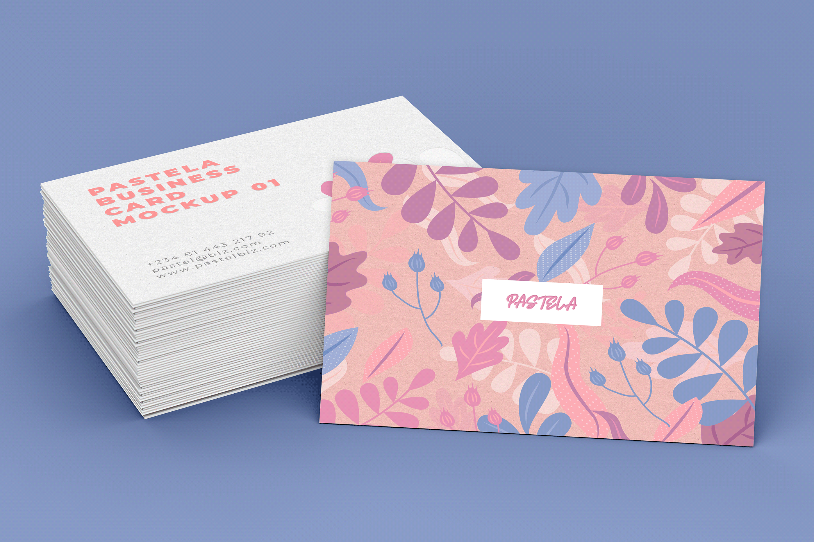 16款商务名片设计样机模板合集16 Business Card Mockup Collection V1_img_2