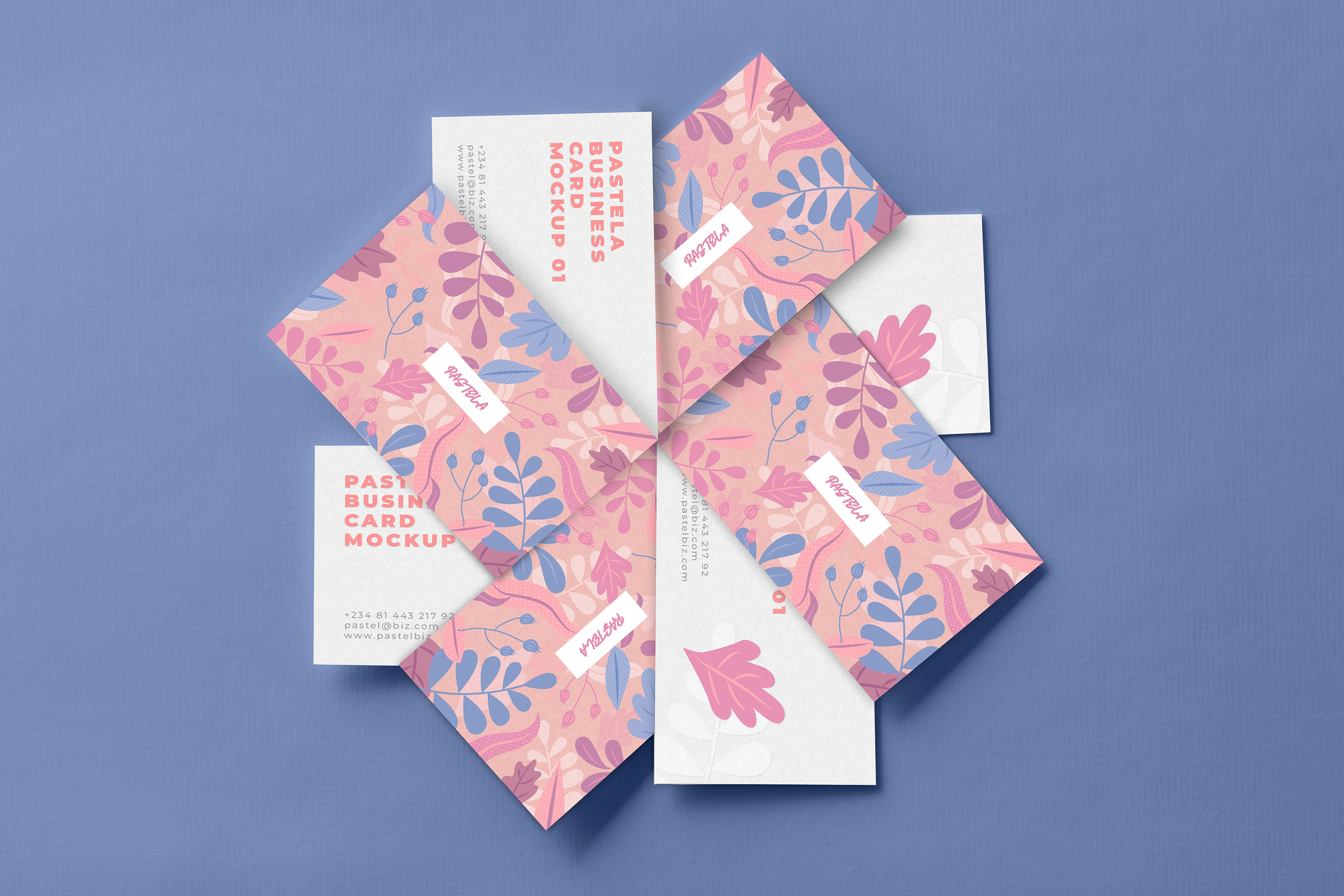 16款商务名片设计样机模板合集16 Business Card Mockup Collection V1_img_2