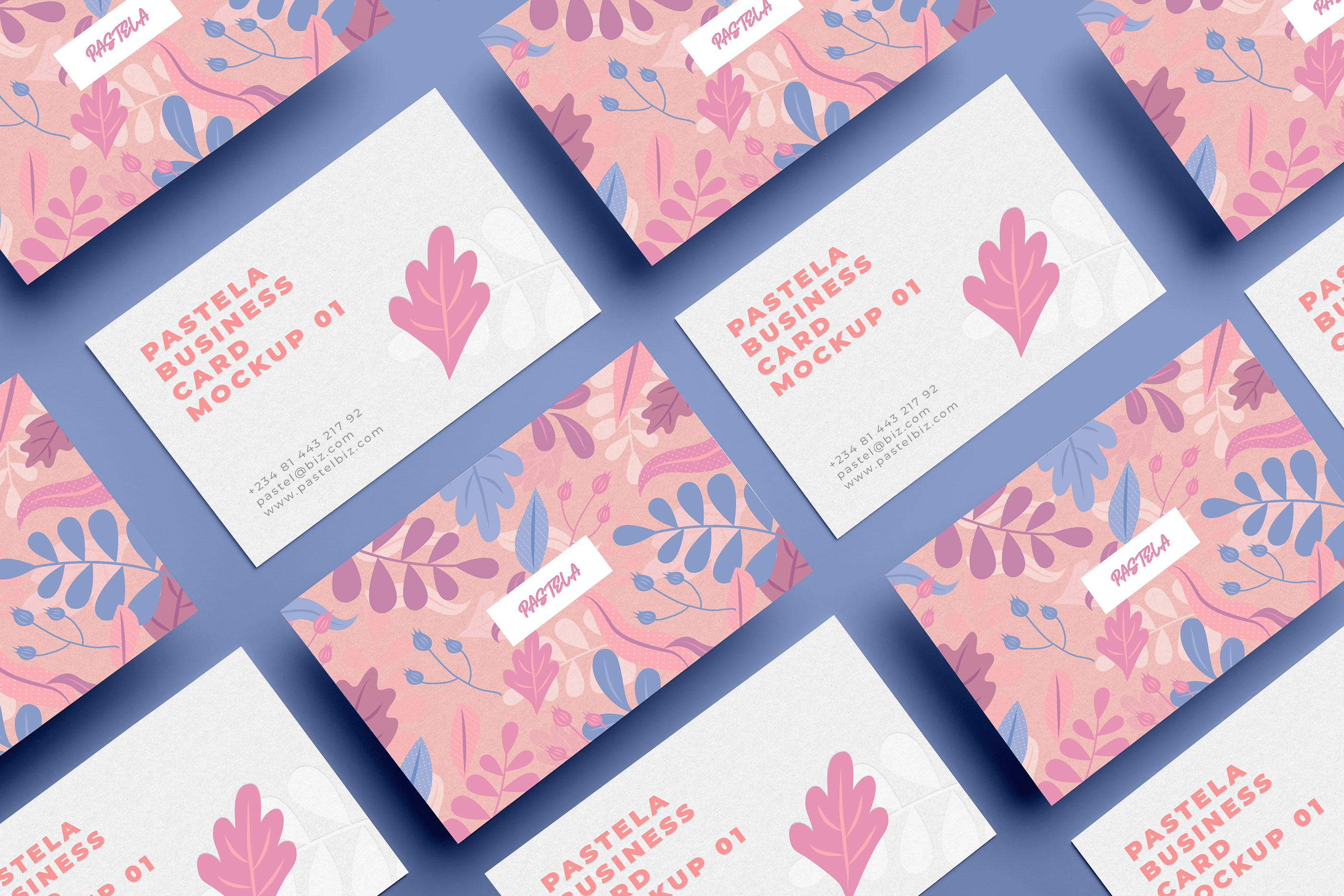 16款商务名片设计样机模板合集16 Business Card Mockup Collection V1_img_2