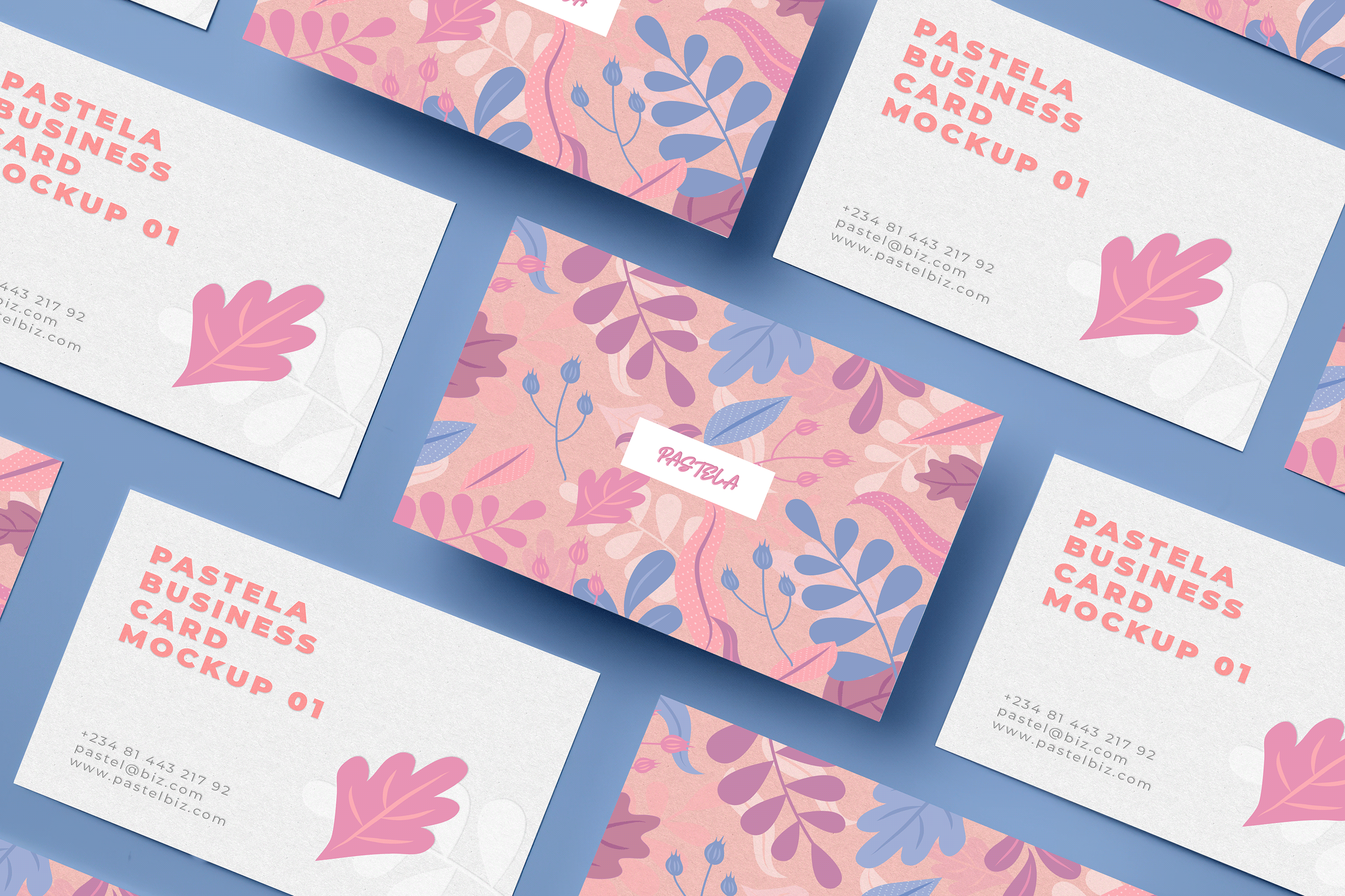 16款商务名片设计样机模板合集16 Business Card Mockup Collection V1_img_2