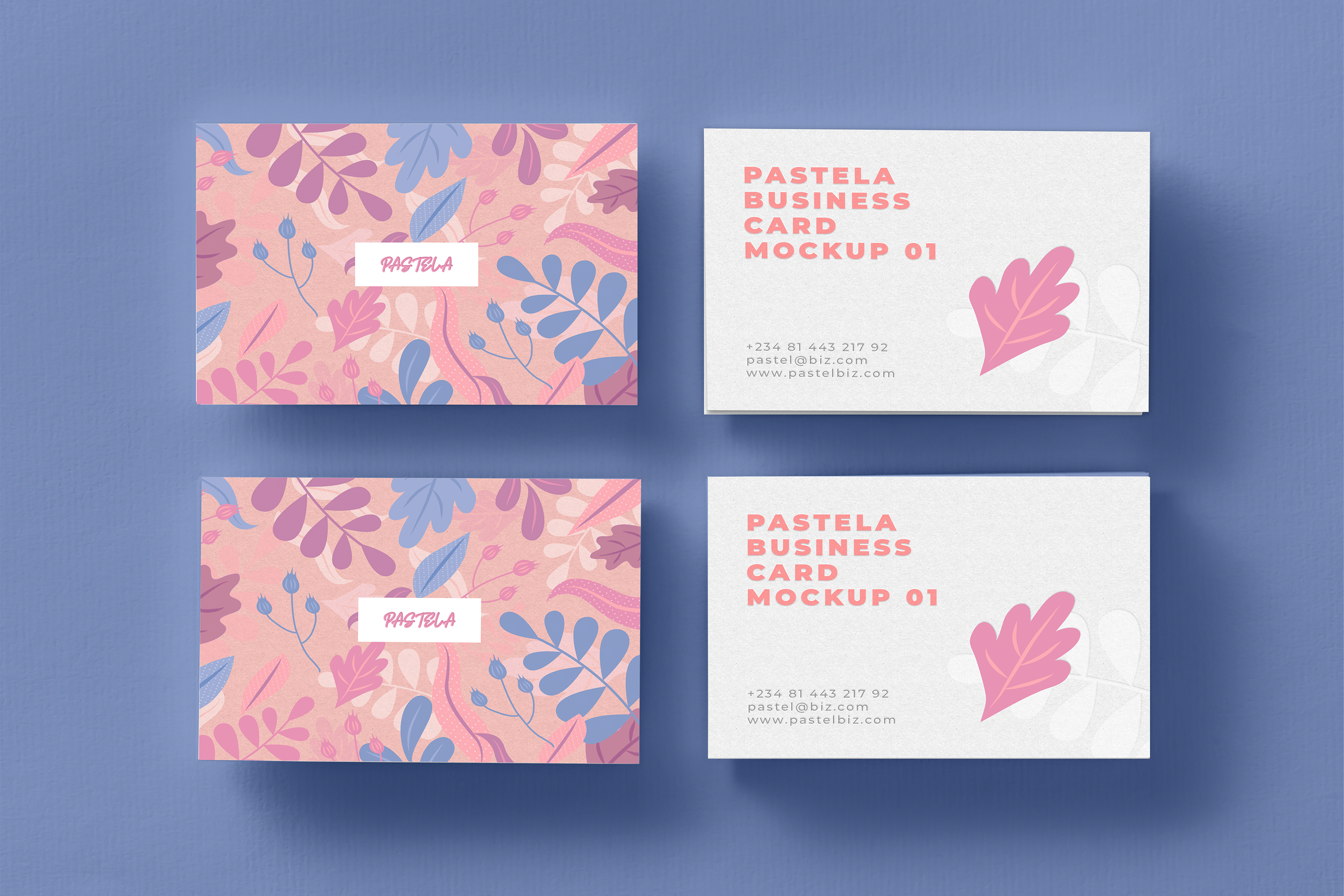 16款商务名片设计样机模板合集16 Business Card Mockup Collection V1_img_2