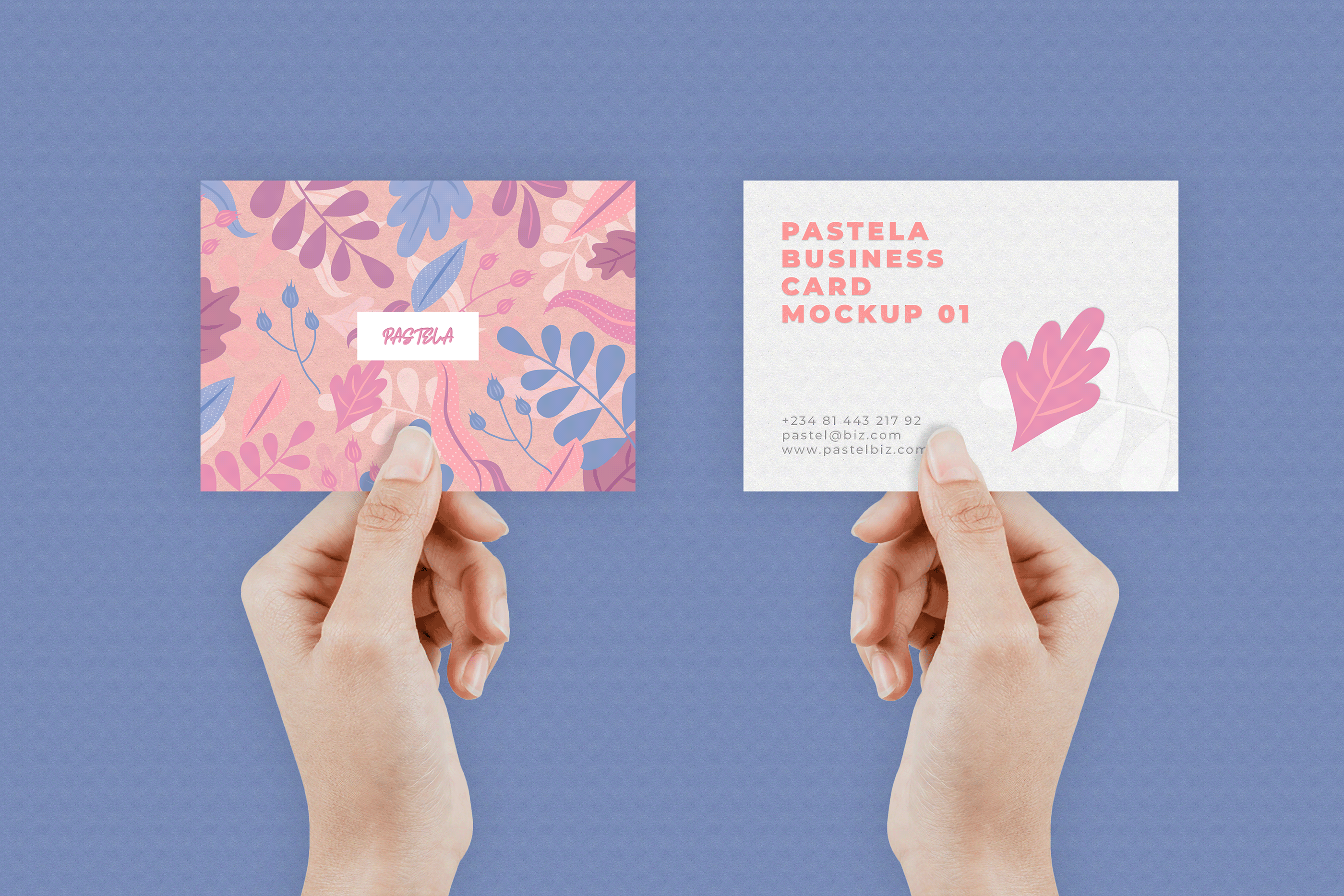 16款商务名片设计样机模板合集16 Business Card Mockup Collection V1_img_2