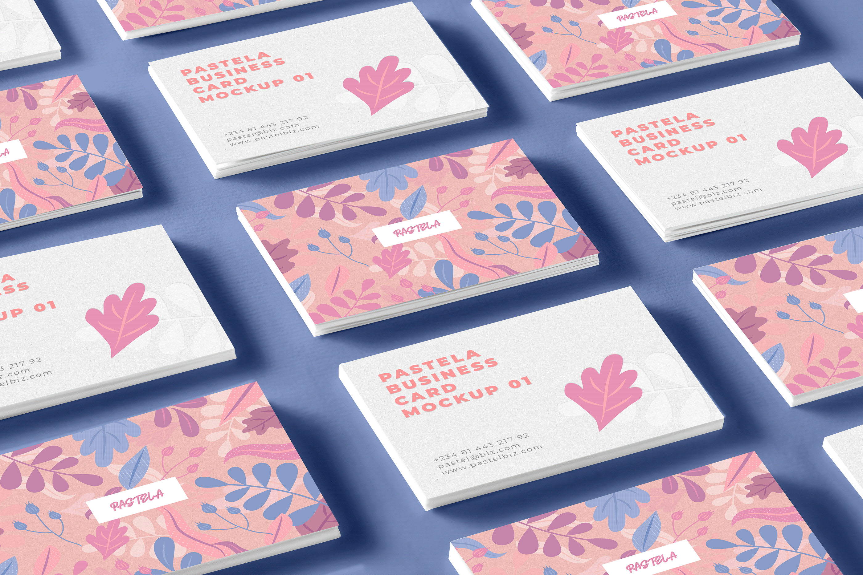 16款商务名片设计样机模板合集16 Business Card Mockup Collection V1_img_2