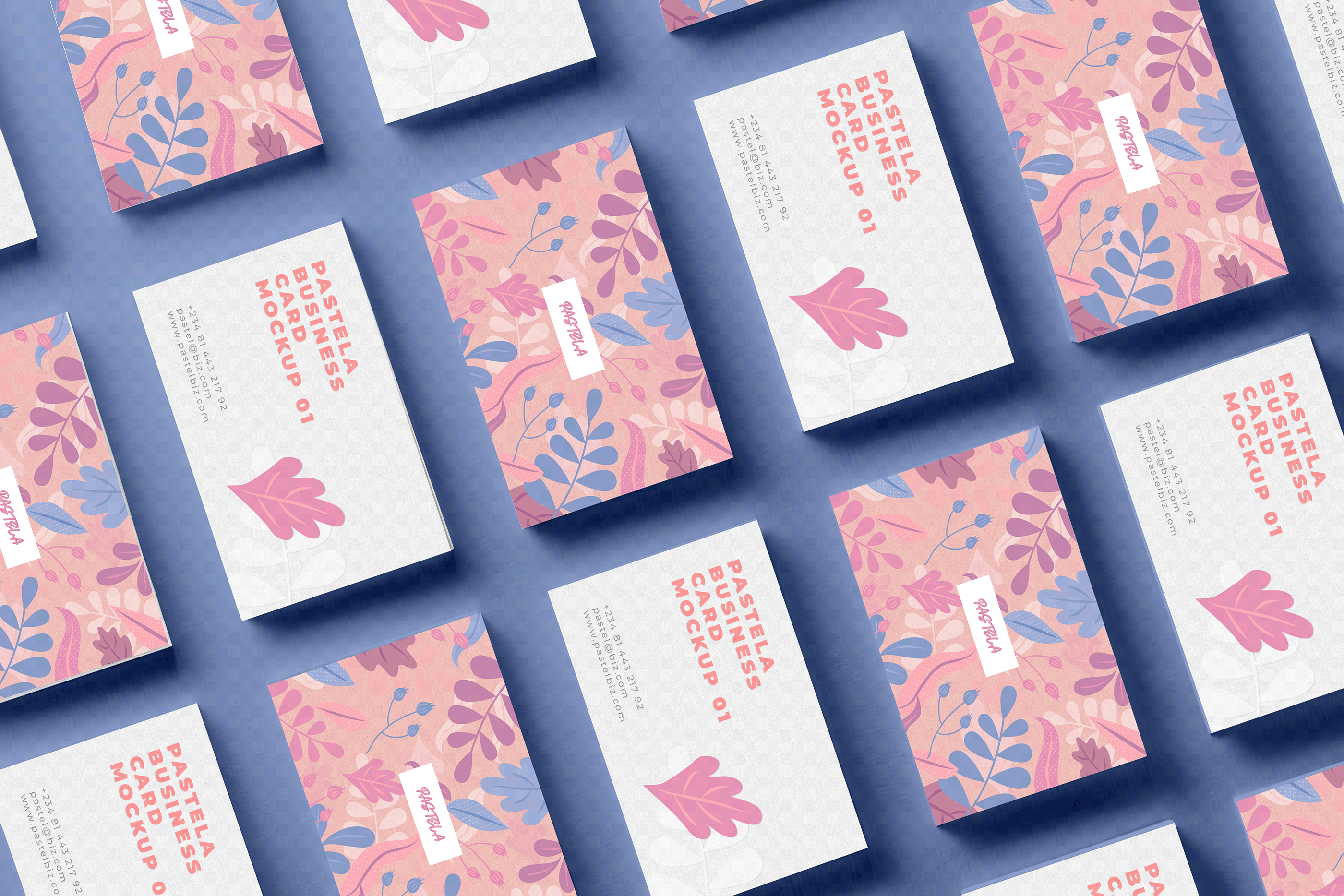 16款商务名片设计样机模板合集16 Business Card Mockup Collection V1_img_2