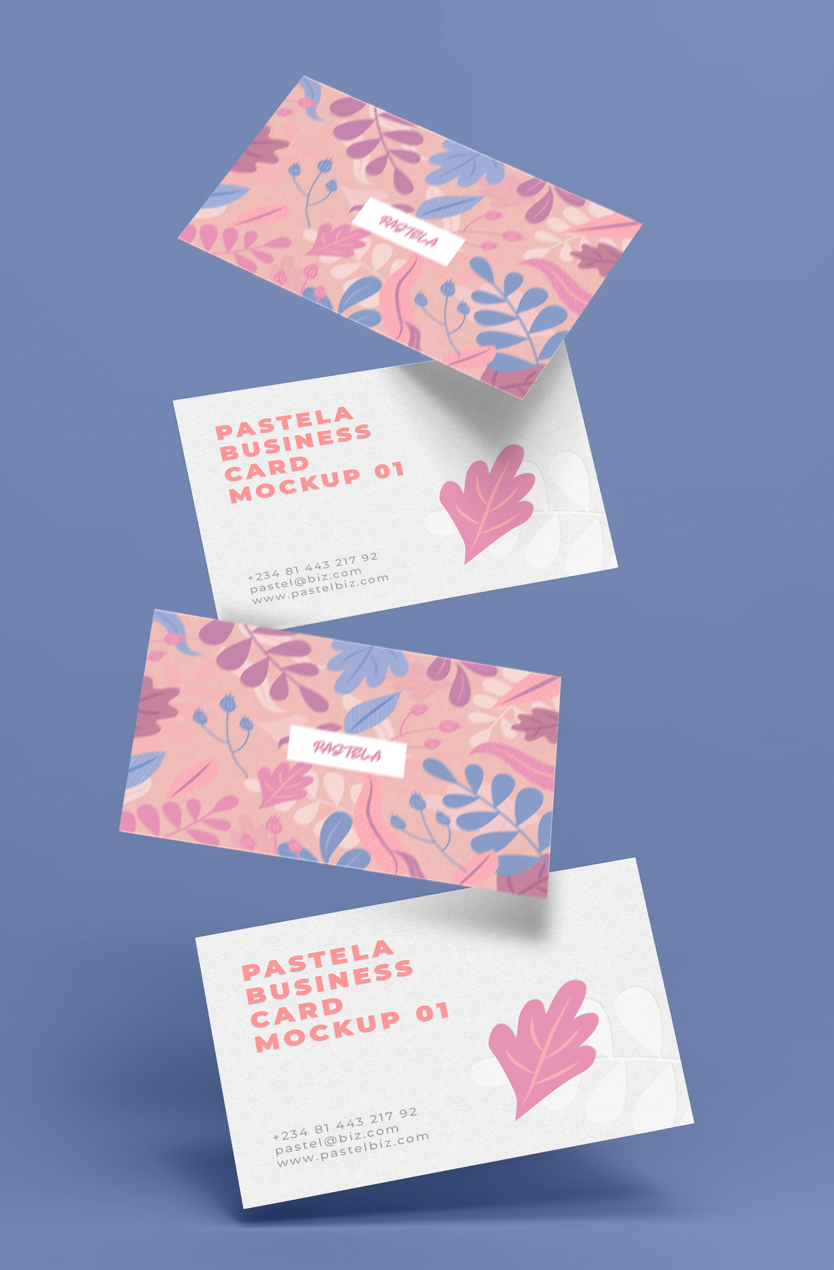 16款商务名片设计样机模板合集16 Business Card Mockup Collection V1_img_2