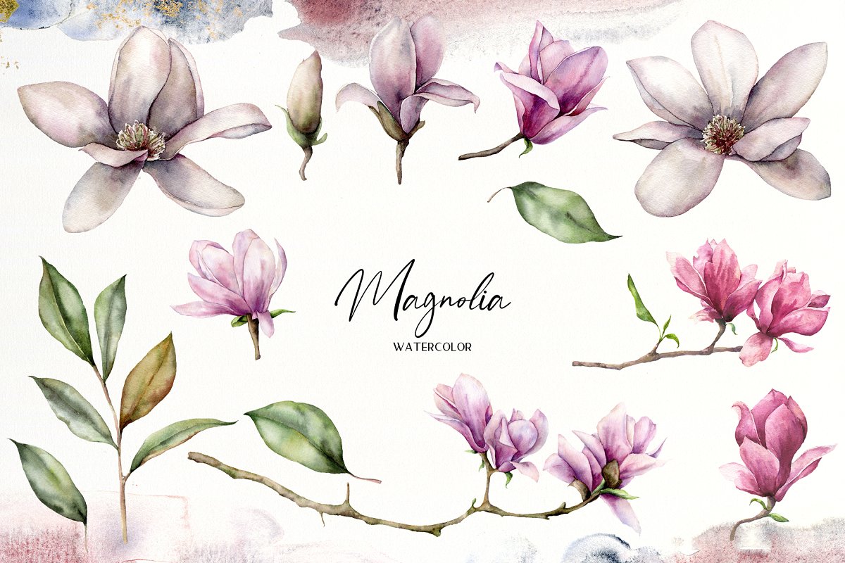 优雅玉兰花水彩画设计素材集合 Magnolia Time. Watercolor Collection_img_2