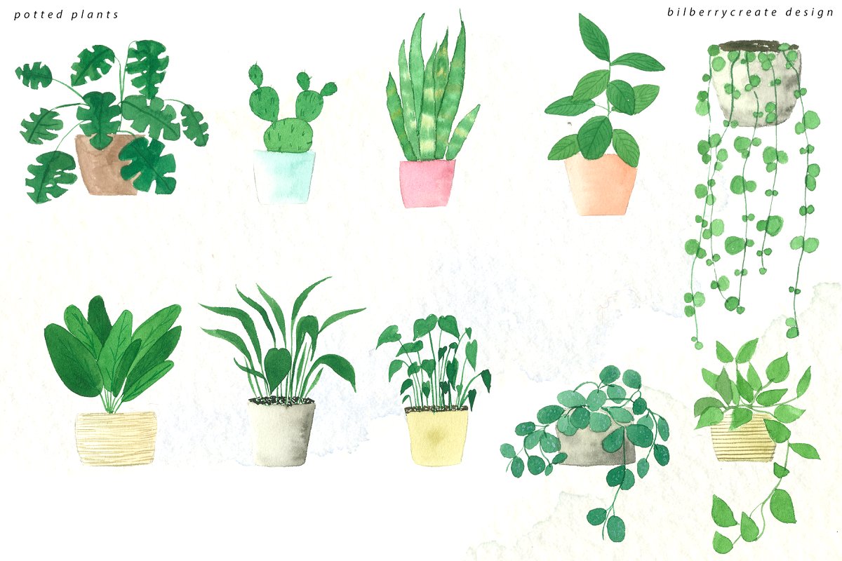 室内盆栽植物几何图形元素水彩插画 Watercolor Cozy Potted Plants_img_2