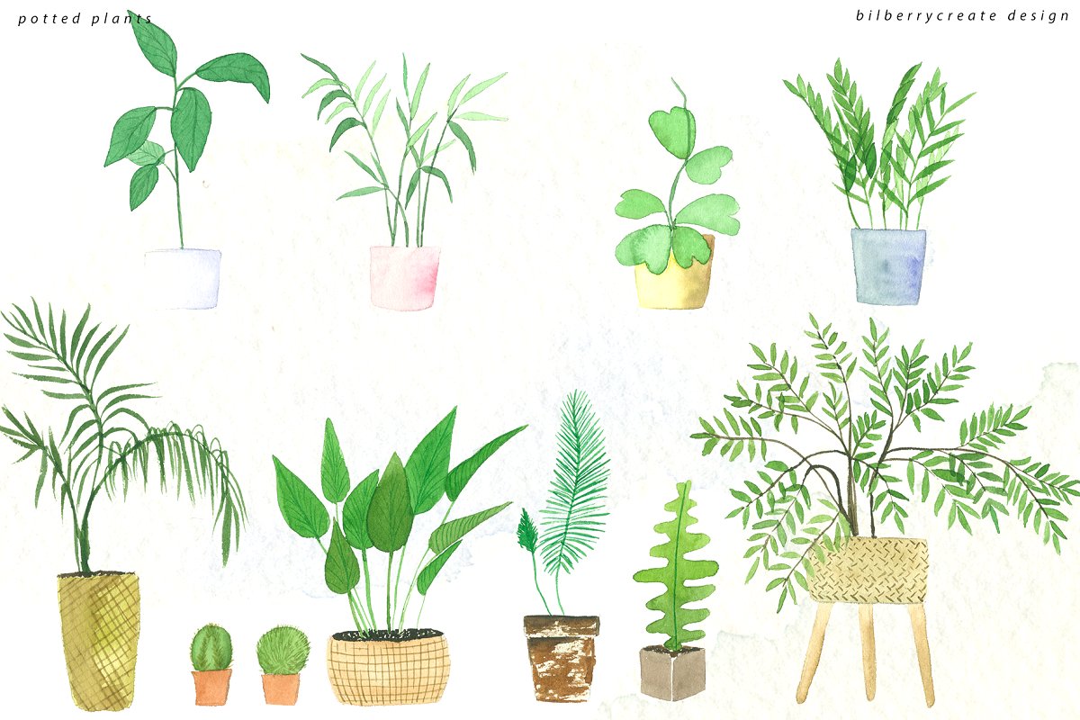 室内盆栽植物几何图形元素水彩插画 Watercolor Cozy Potted Plants_img_2