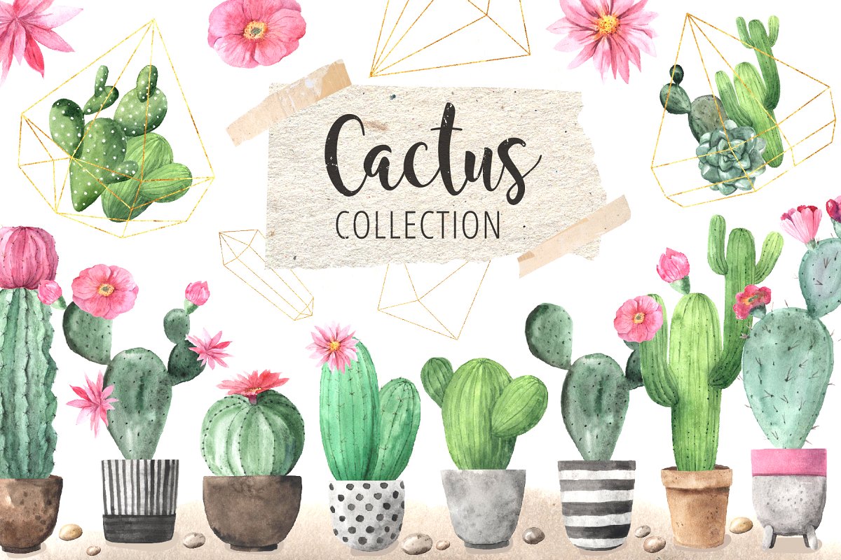 时尚仙人掌花卉金线水彩插画合集 Watercolor Exotic Cactus Collection_img_2